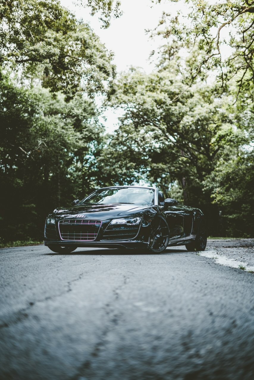 Leozen Exotic Rentals - Local Transportation in Houston, TX in Houston, Houston