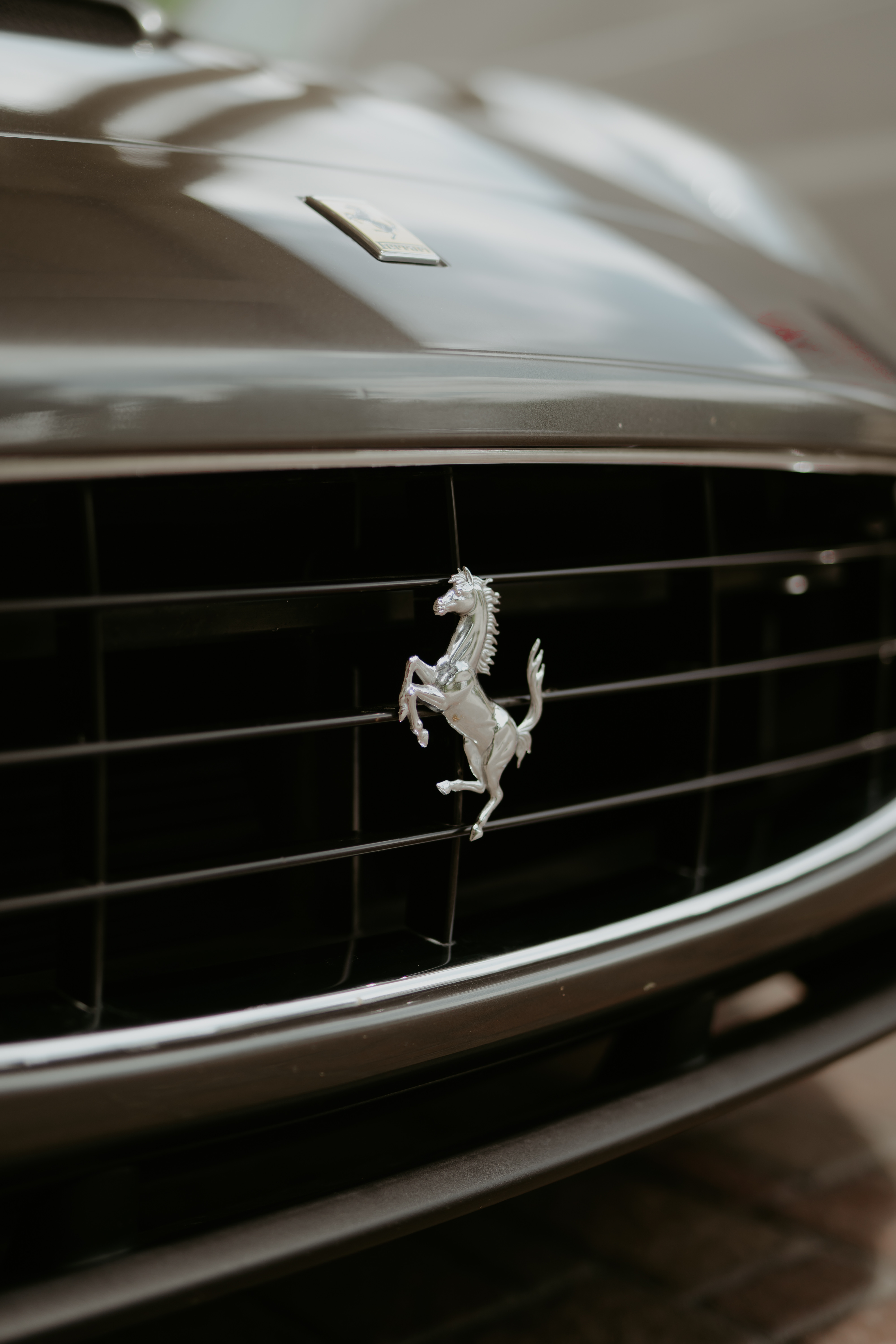 Leozen Exotic Rentals - Local Transportation in Houston, TX in Houston, Houston