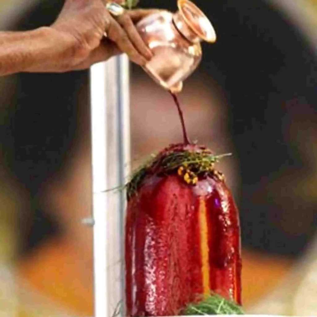 Hindu Priest in Woodbridge, NJ – Karthik Natarajan in Woodbridge, Woodbridge