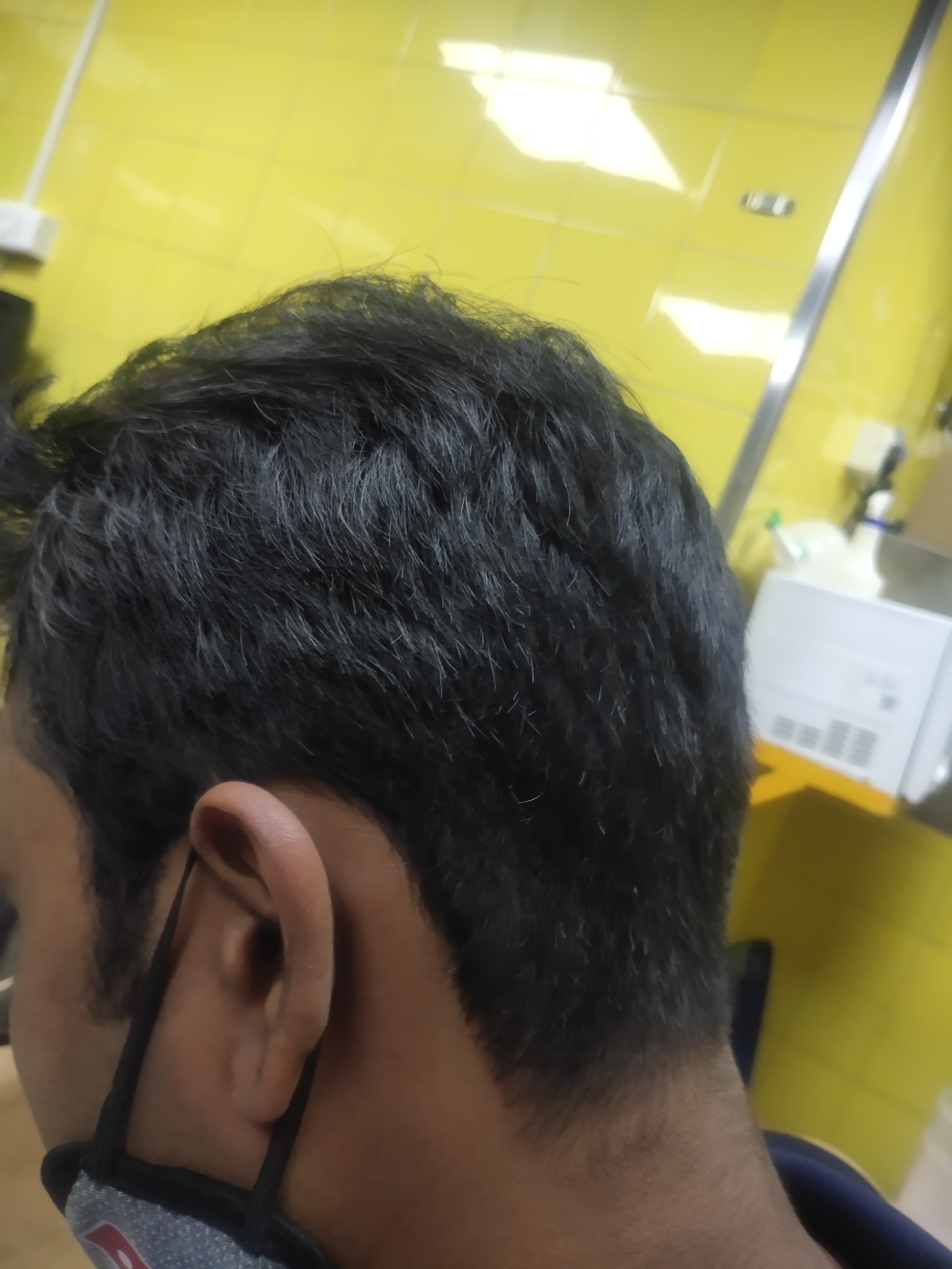 Green Trends in Vadavalli, Coimbatore