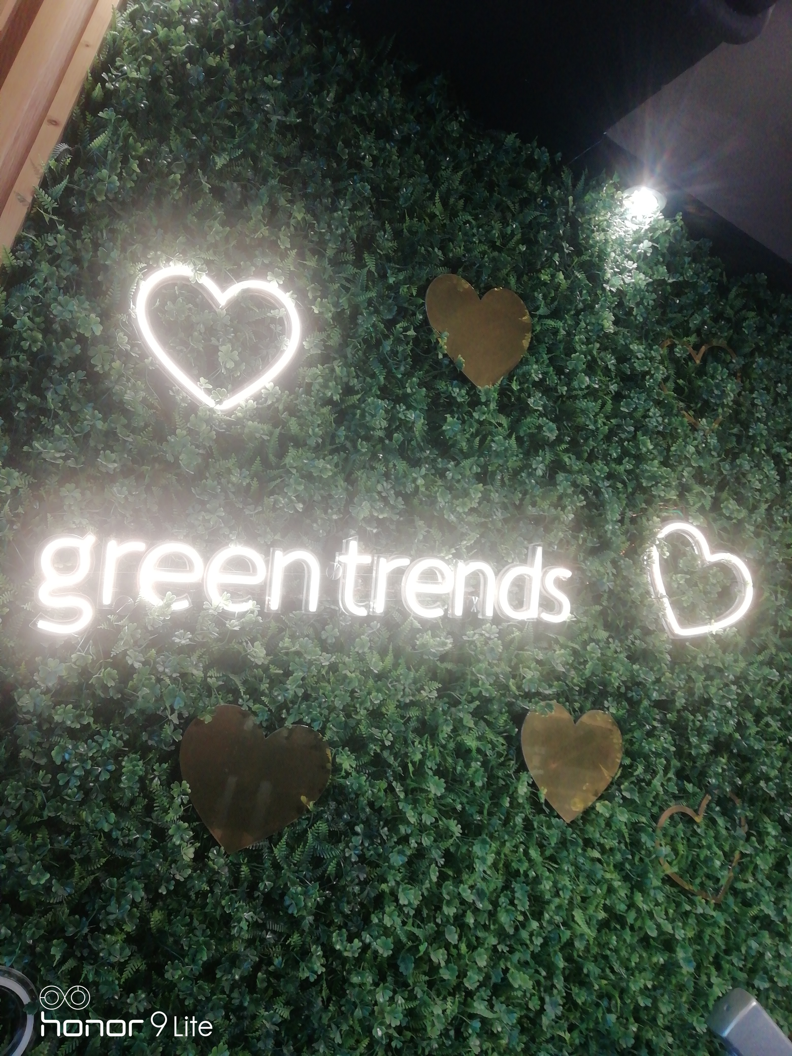 Green Trends in Thudiyalur, Coimbatore