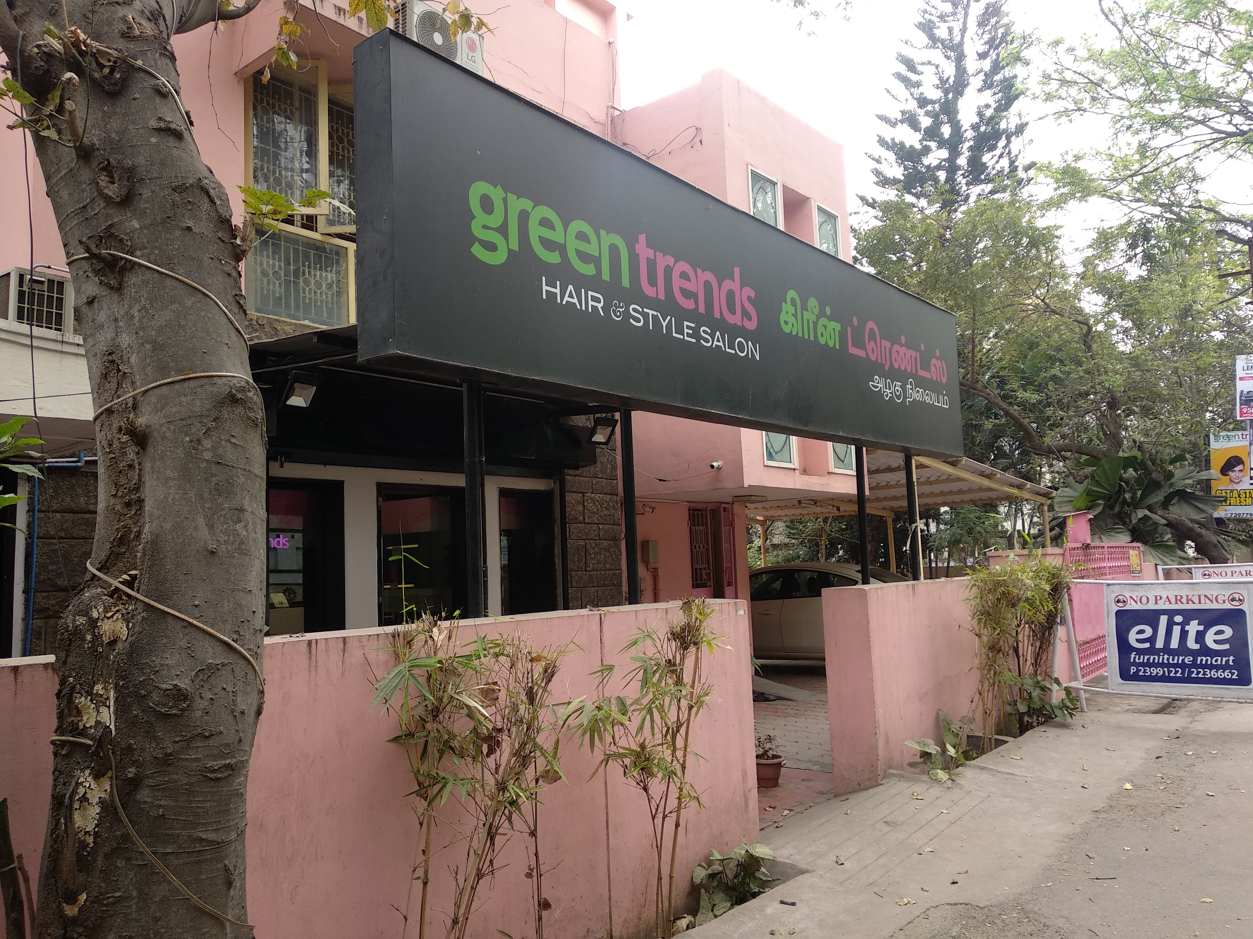 Green Trends in Saibaba Colony, Coimbatore