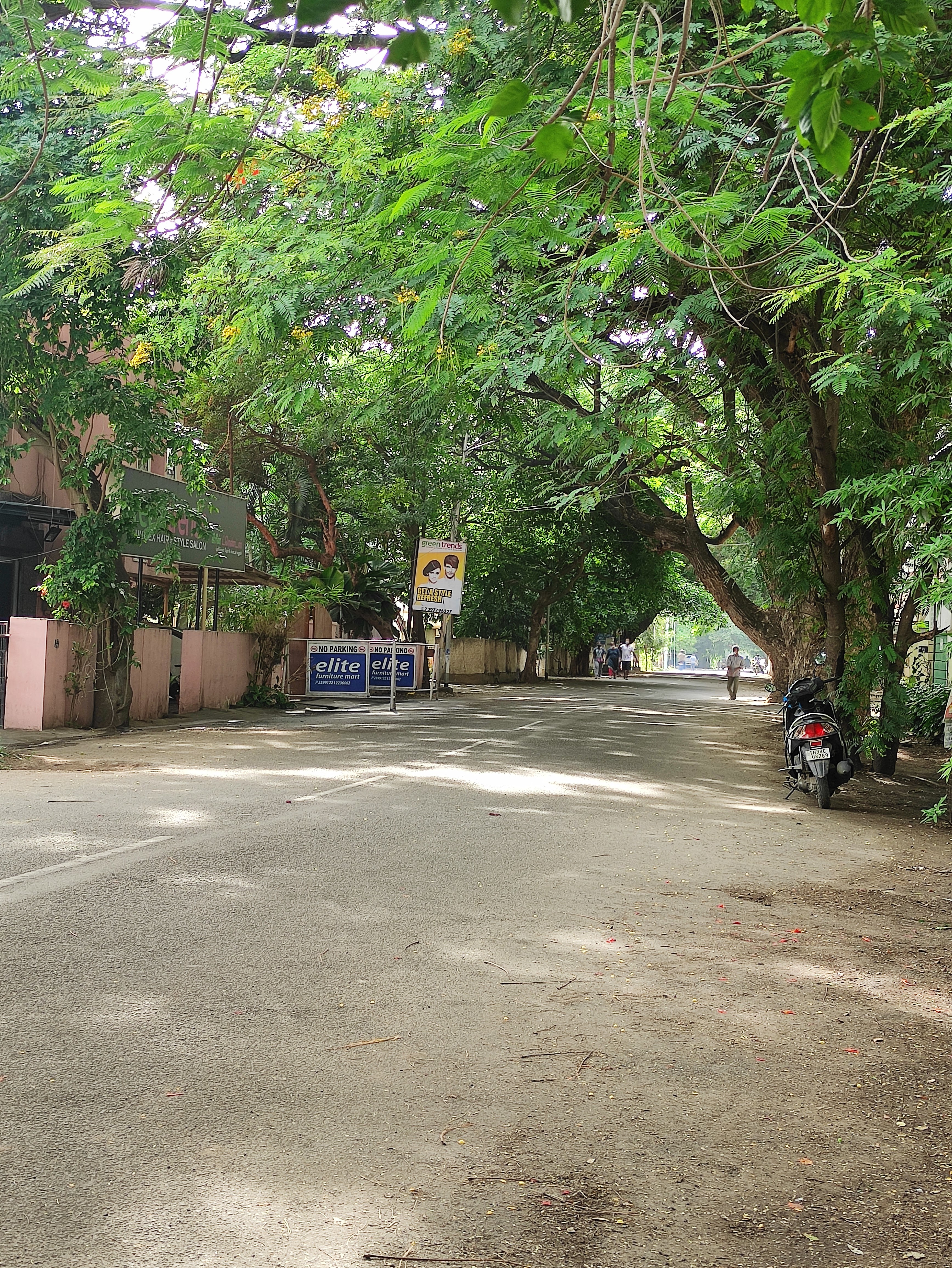 Green Trends in Saibaba Colony, Coimbatore