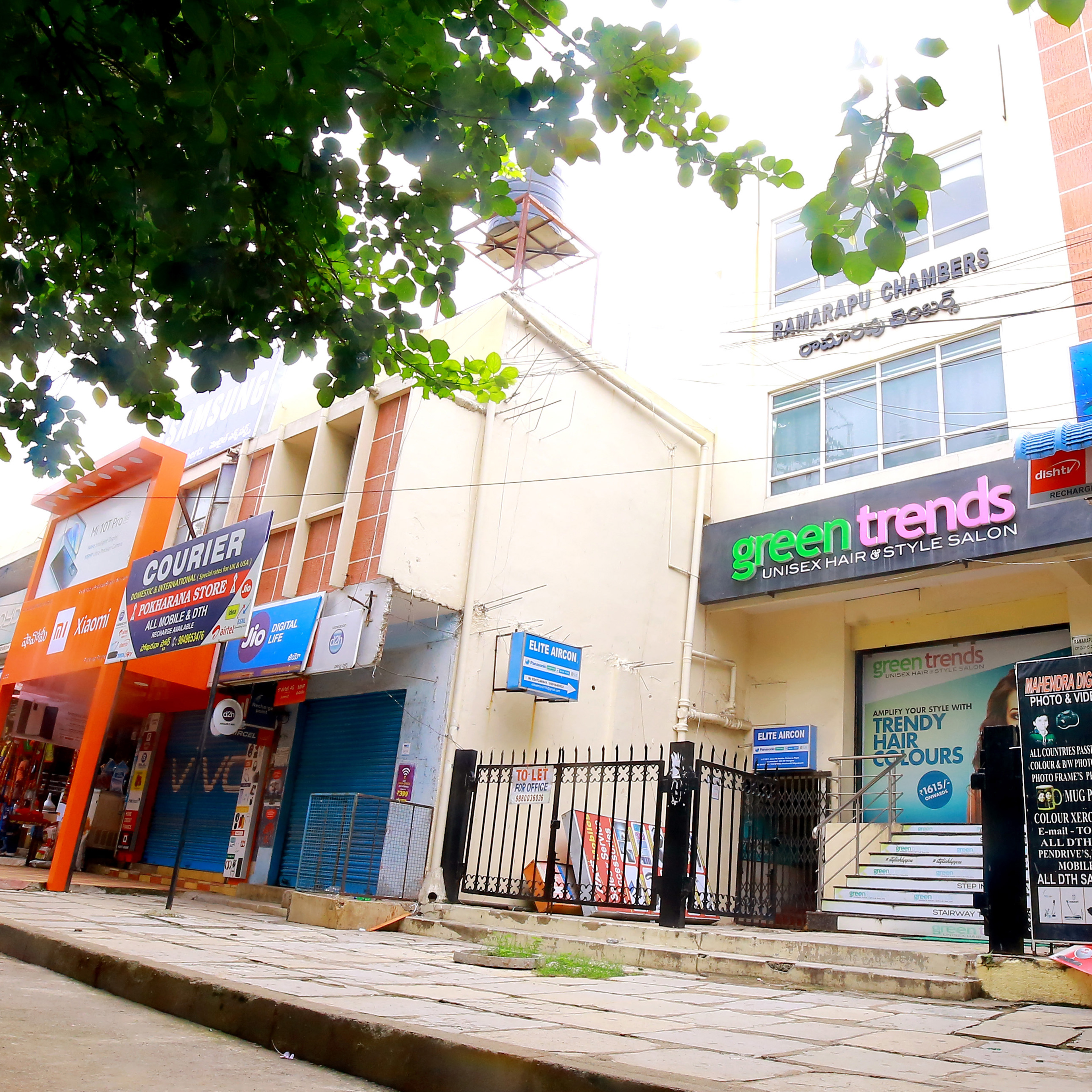 Green Trends in Padmarao Nagar, Hyderabad