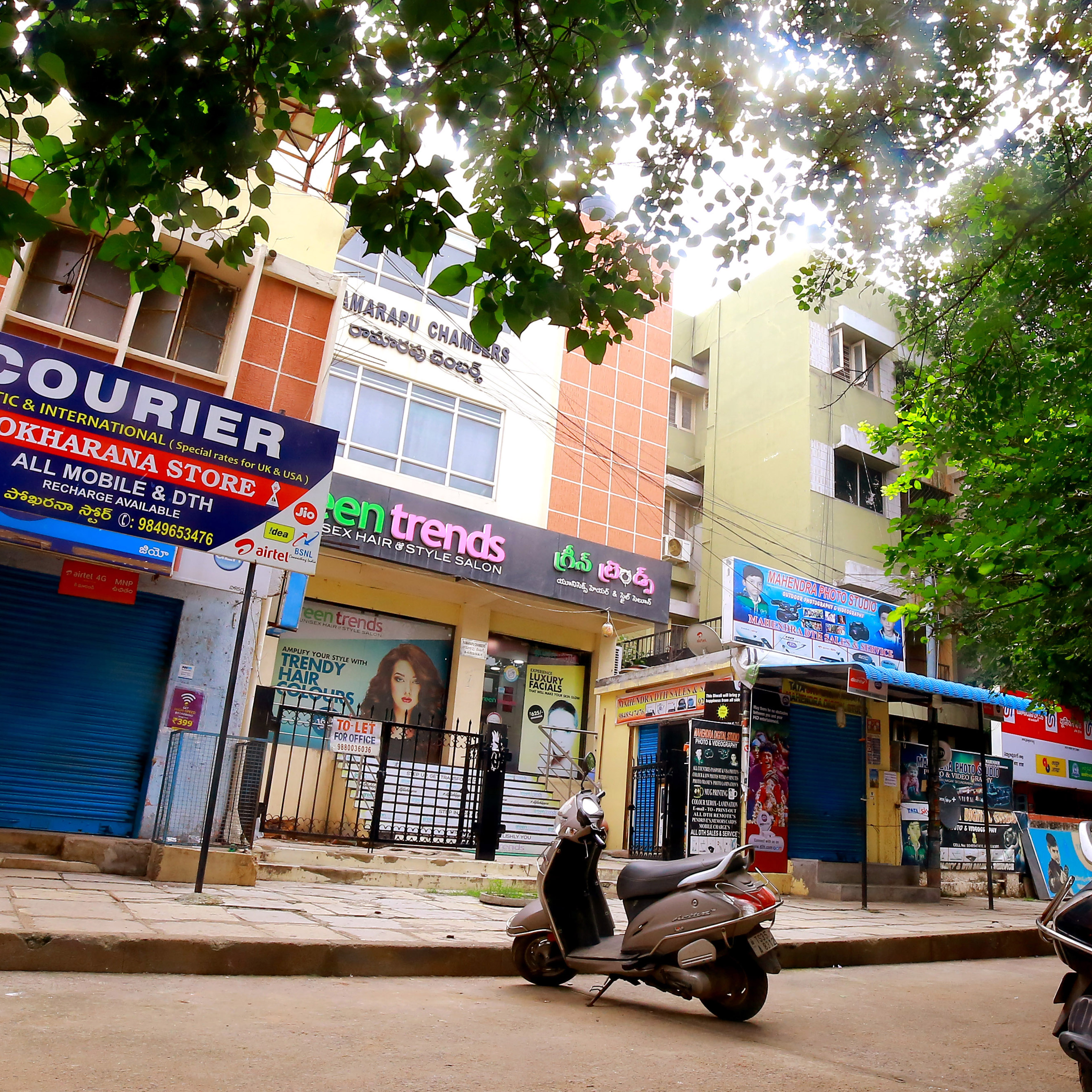 Green Trends in Padmarao Nagar, Hyderabad