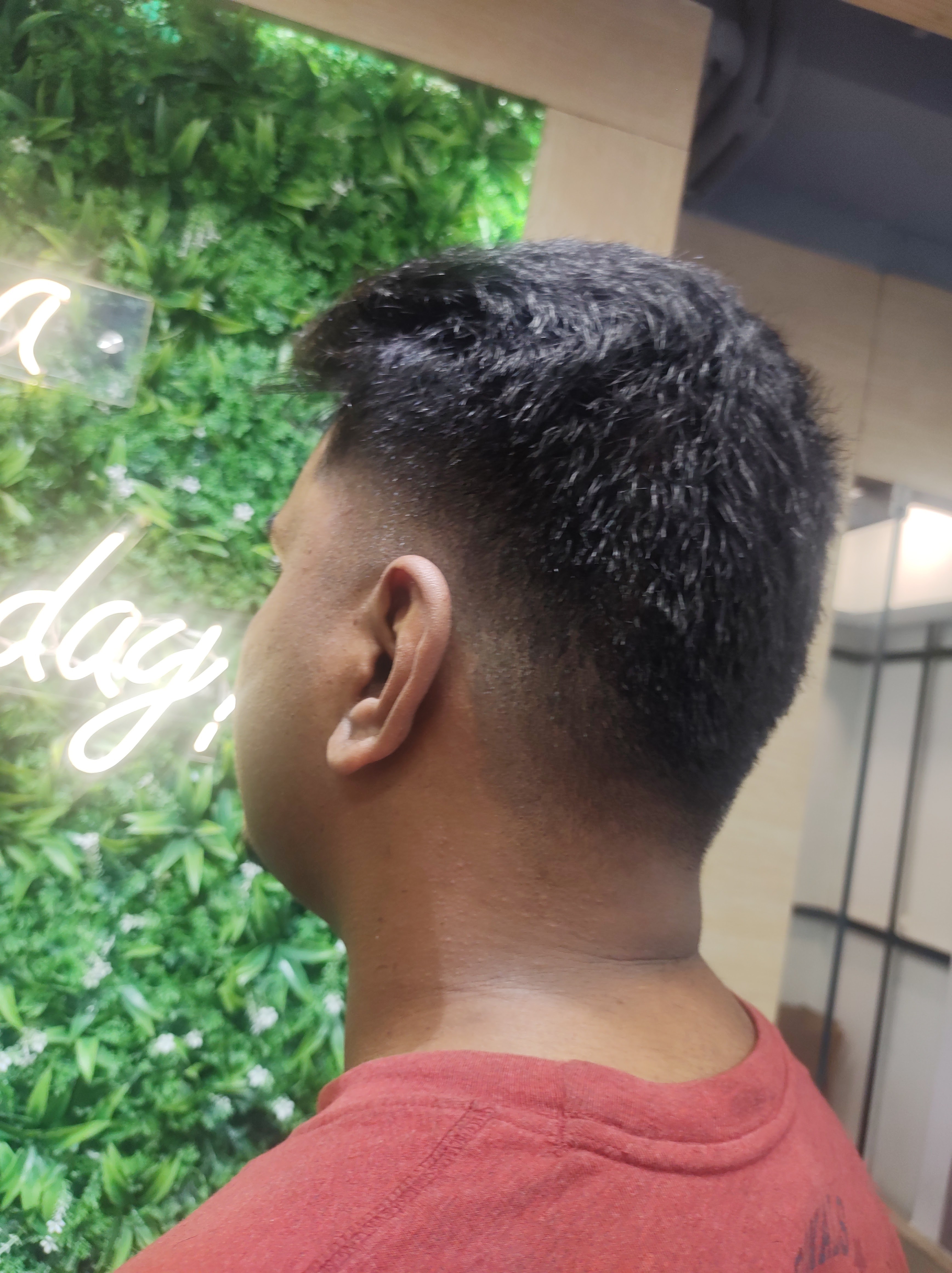 Green Trends in Jayanagar, Bengaluru