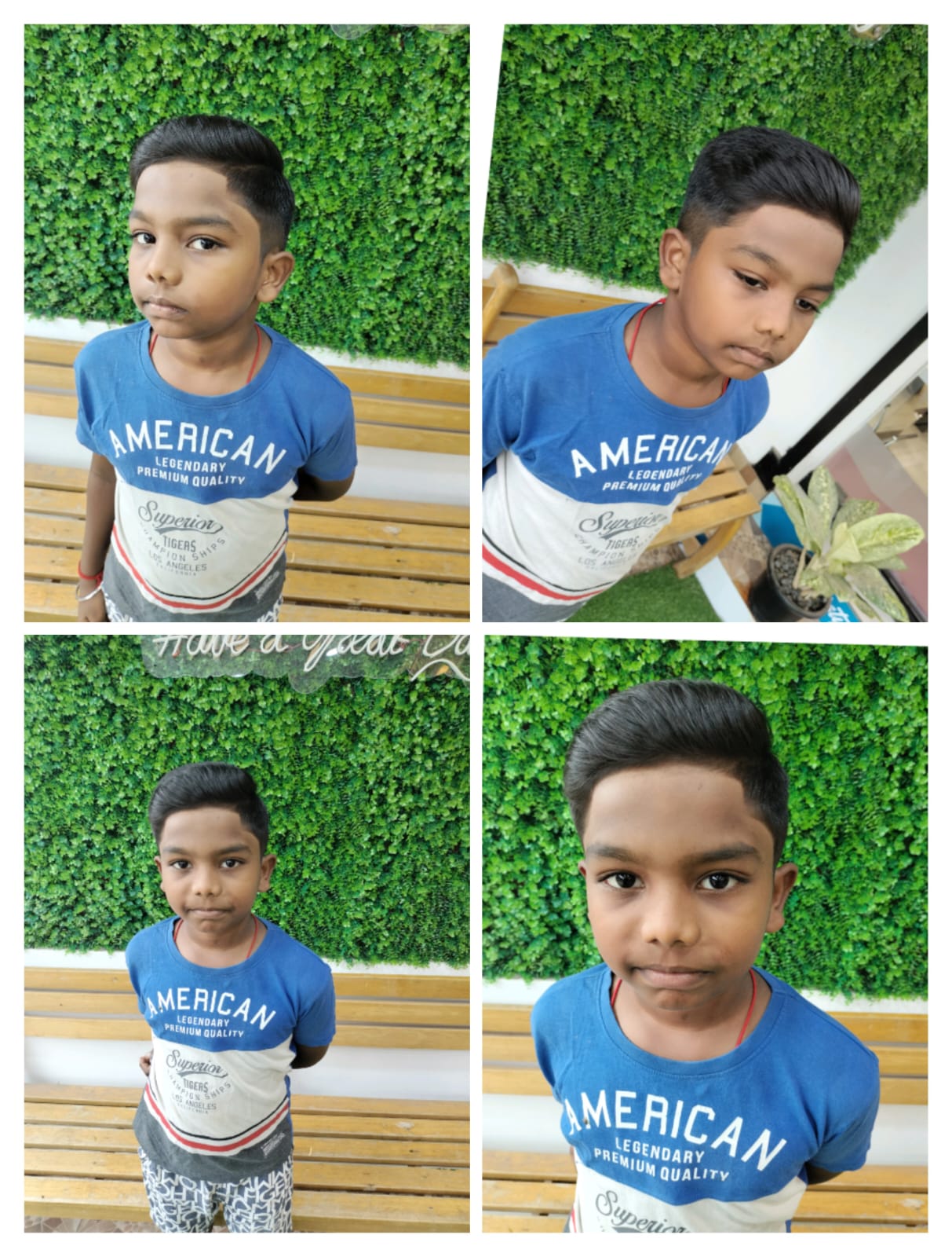 Green Trends in Thenpathi, Sirkali