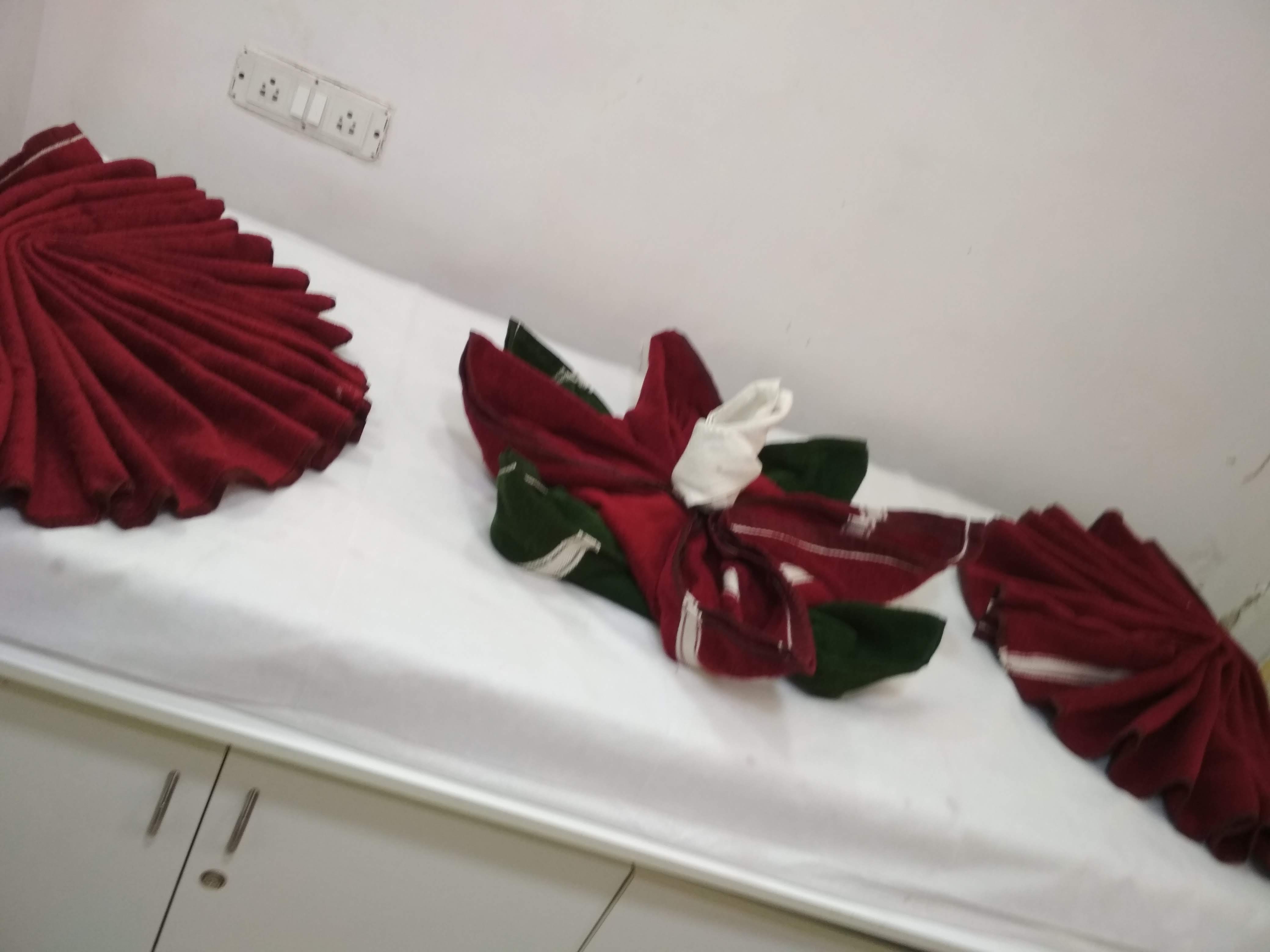 Green Trends in Dilsukhnagar, Hyderabad