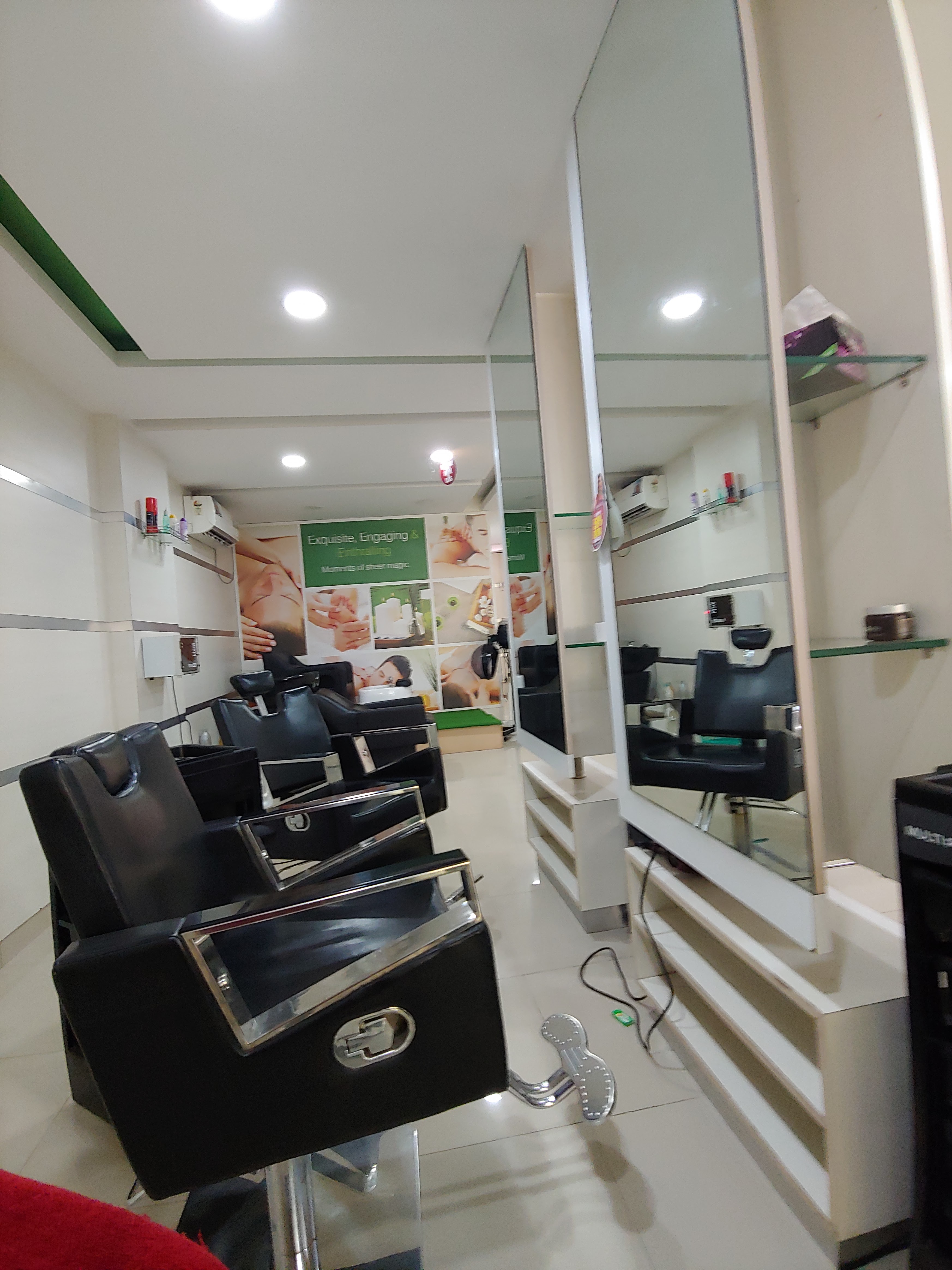 Green Trends in Kaverappa Layout, Bengaluru