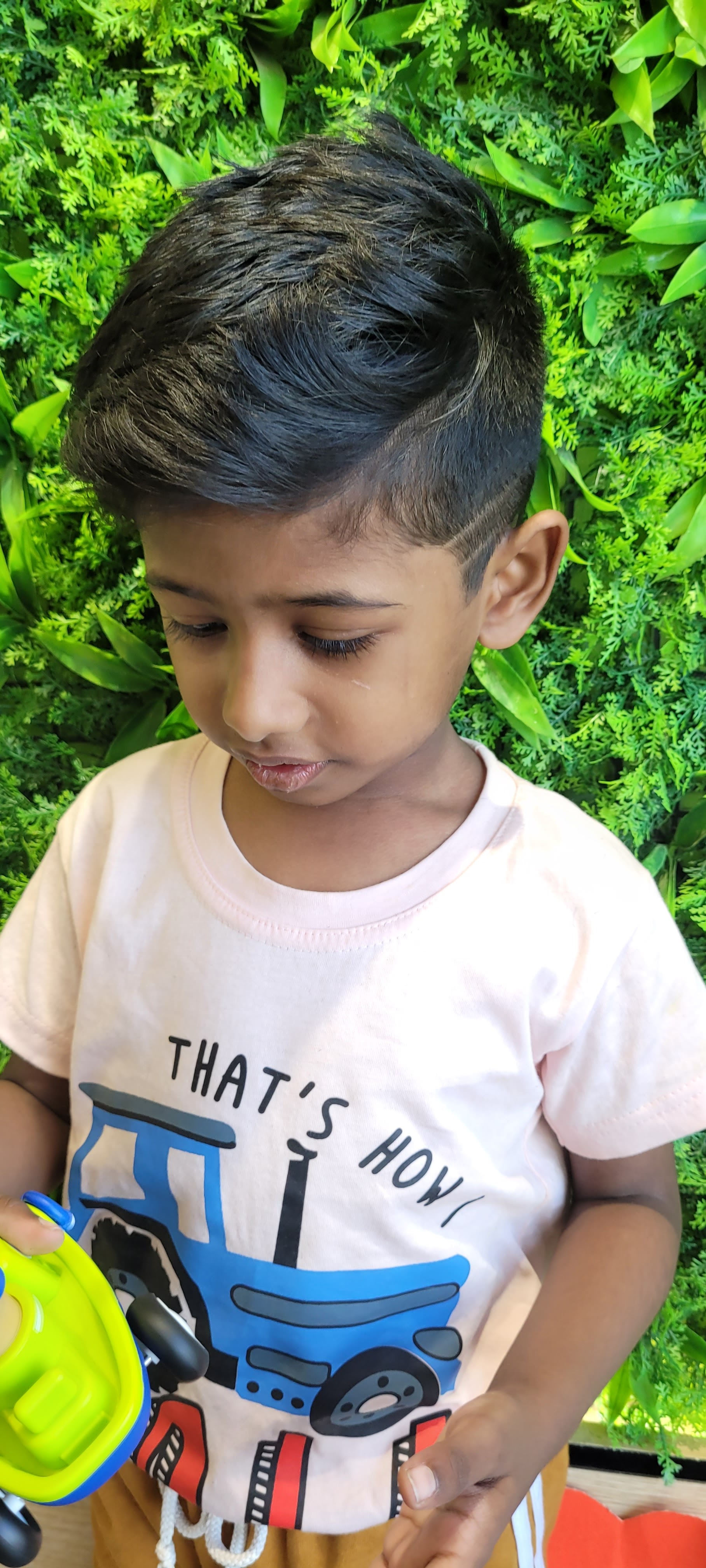 Green Trends in Lakshmipuram, Chennai