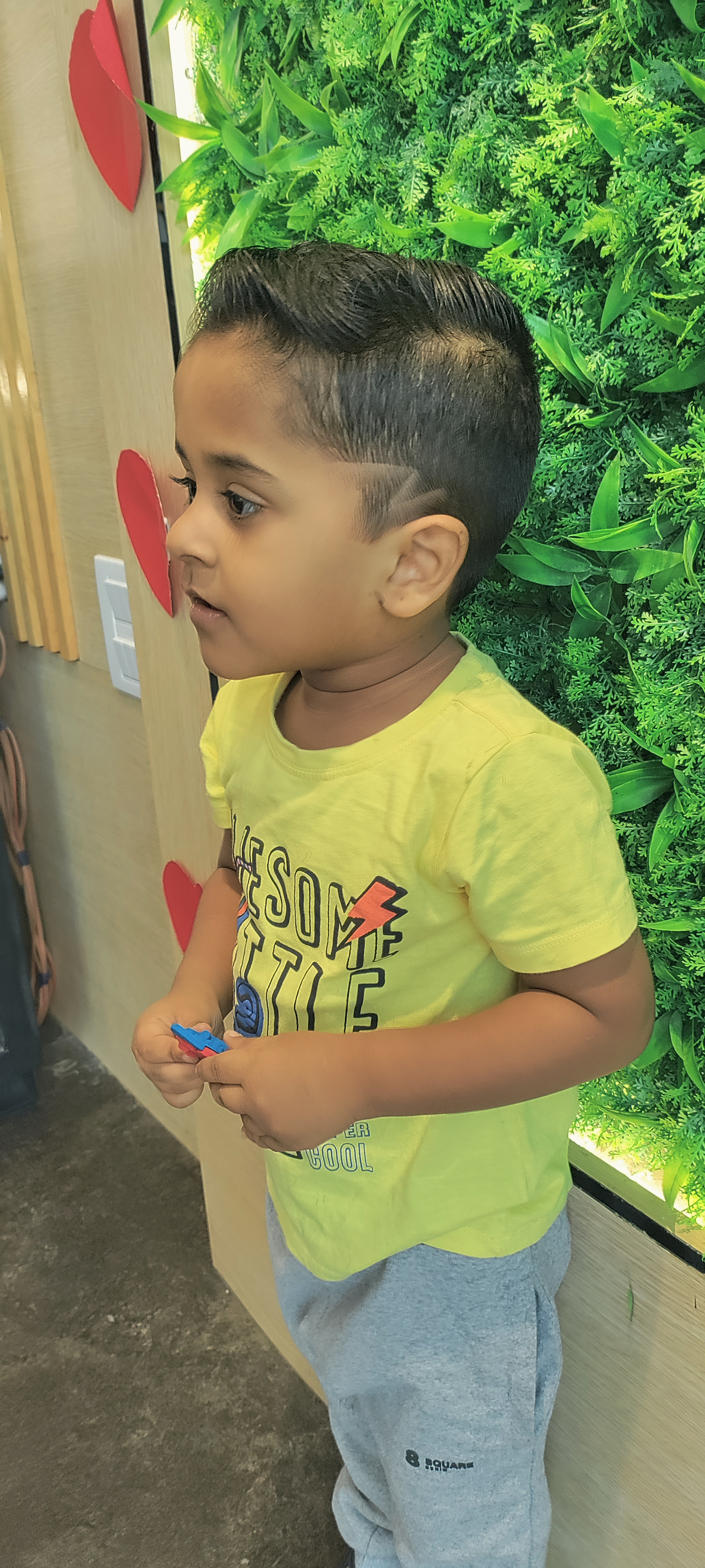 Green Trends in Lakshmipuram, Chennai