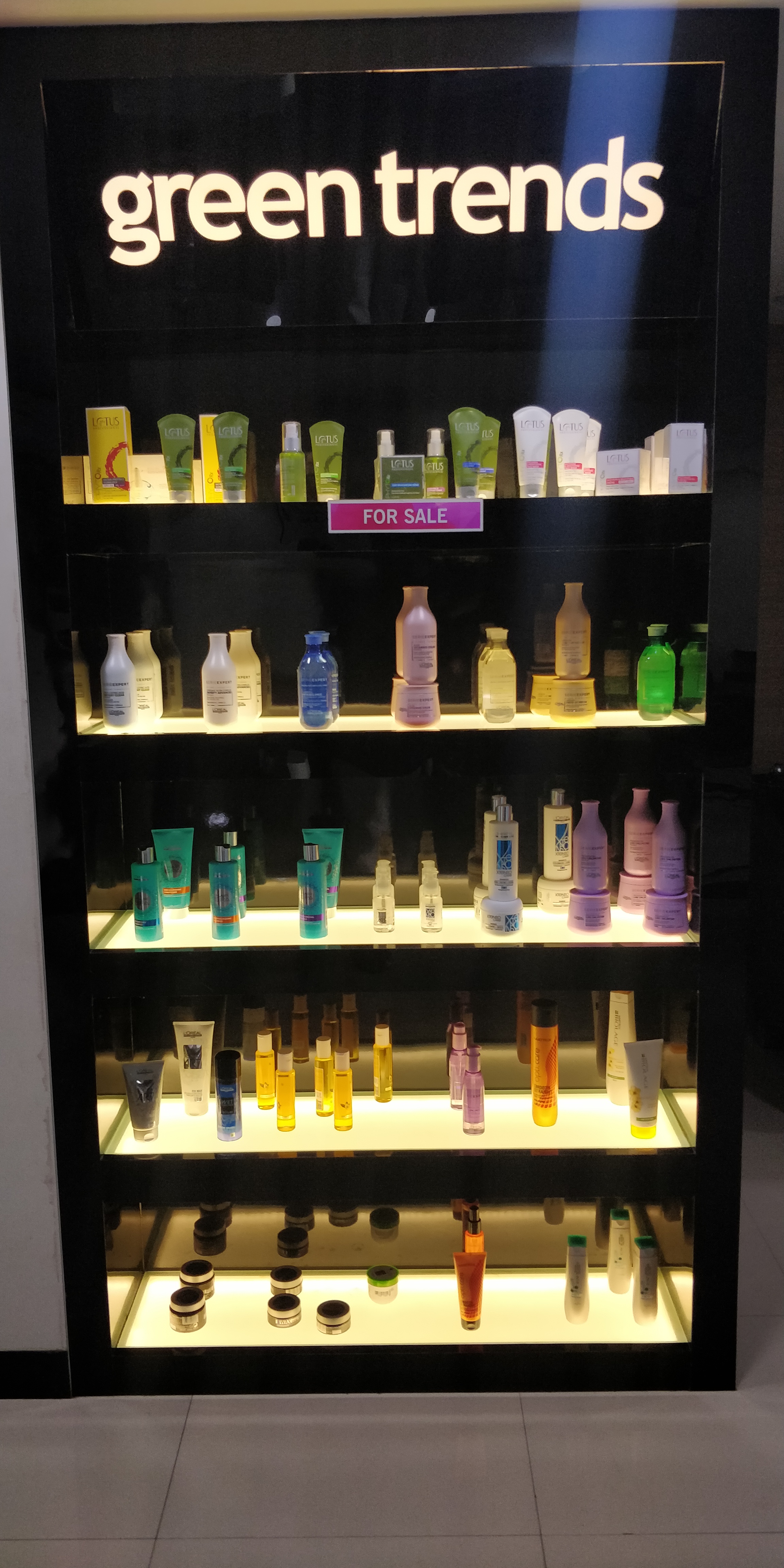 Green Trends in Ashok Nagar, Chennai