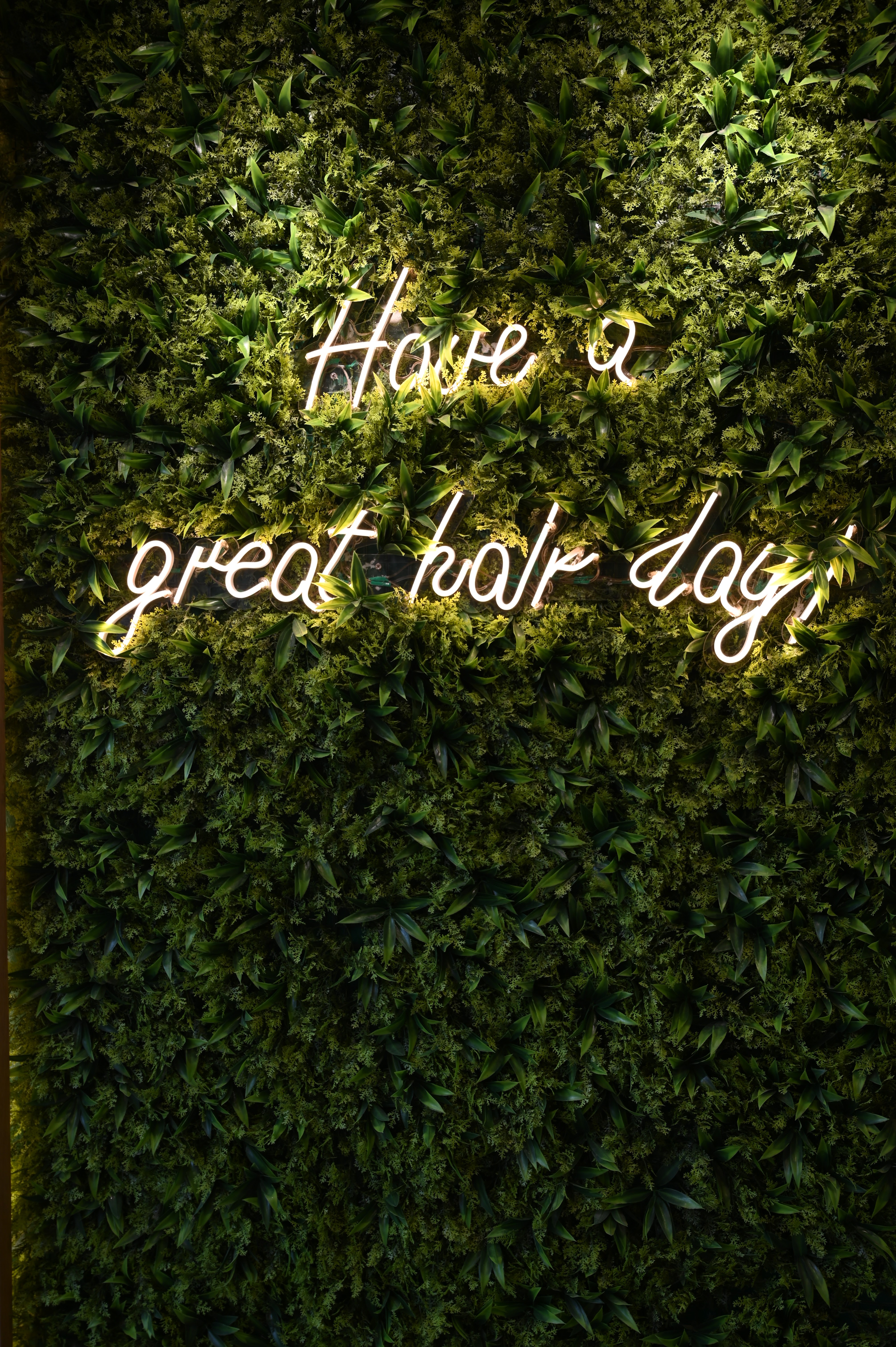 Green Trends in Moosapet, Hyderabad
