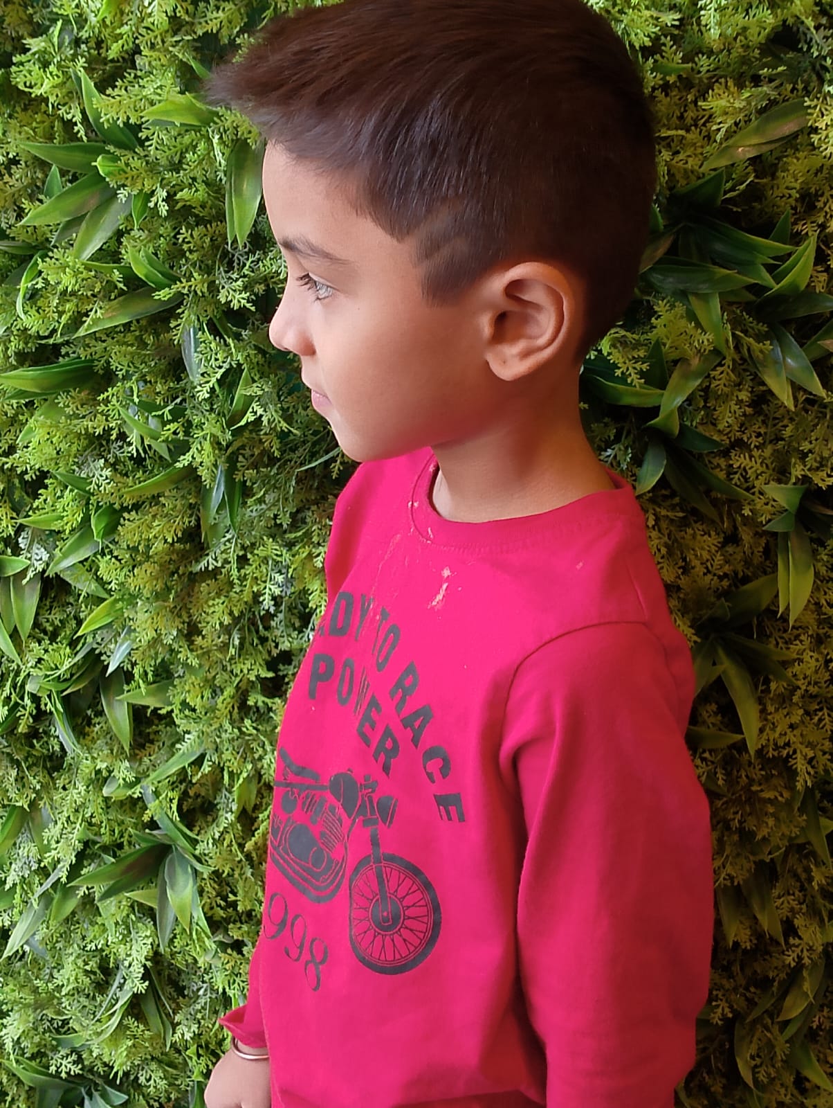 Green Trends in Moosapet, Hyderabad