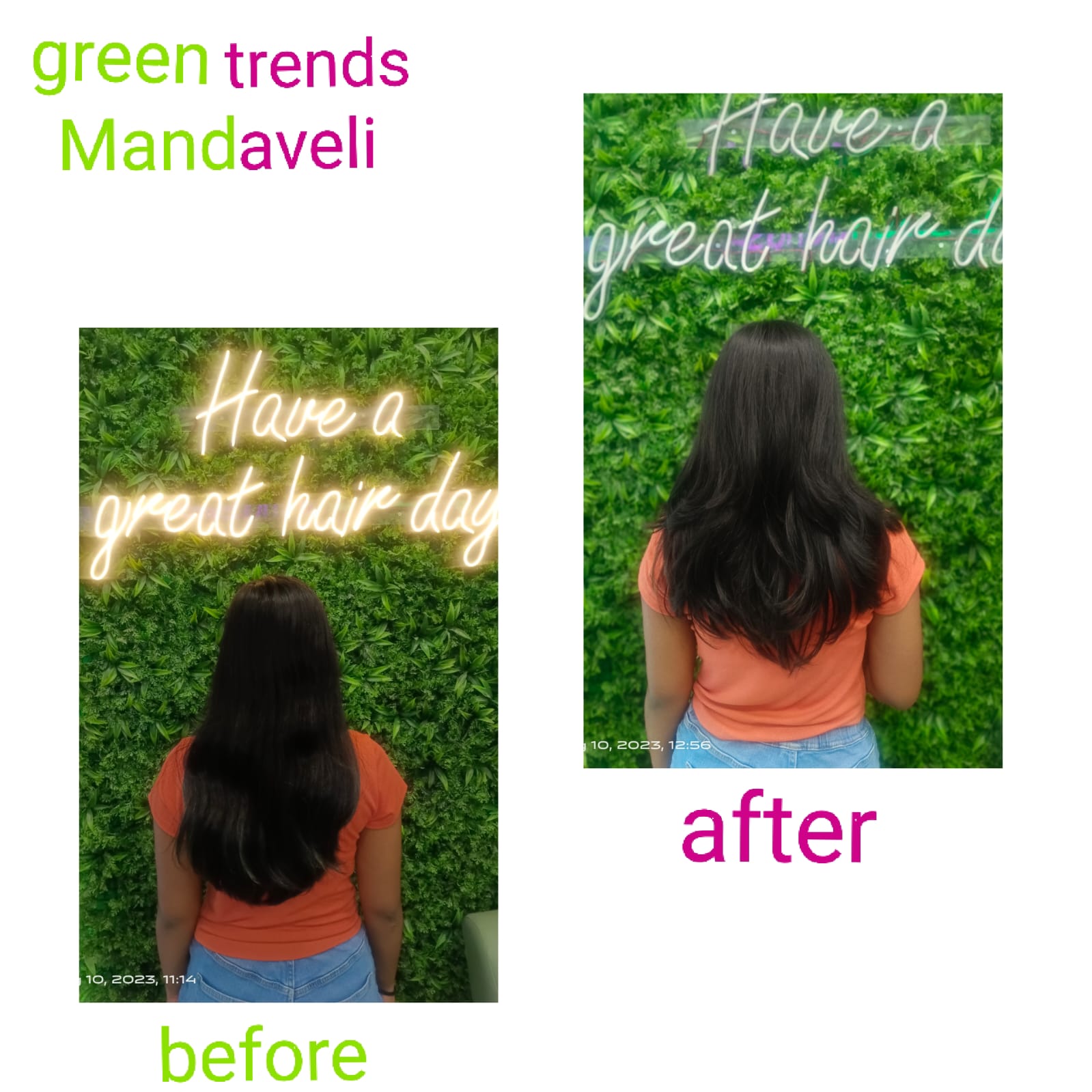 Green Trends in Raja Annamalai Puram, Chennai