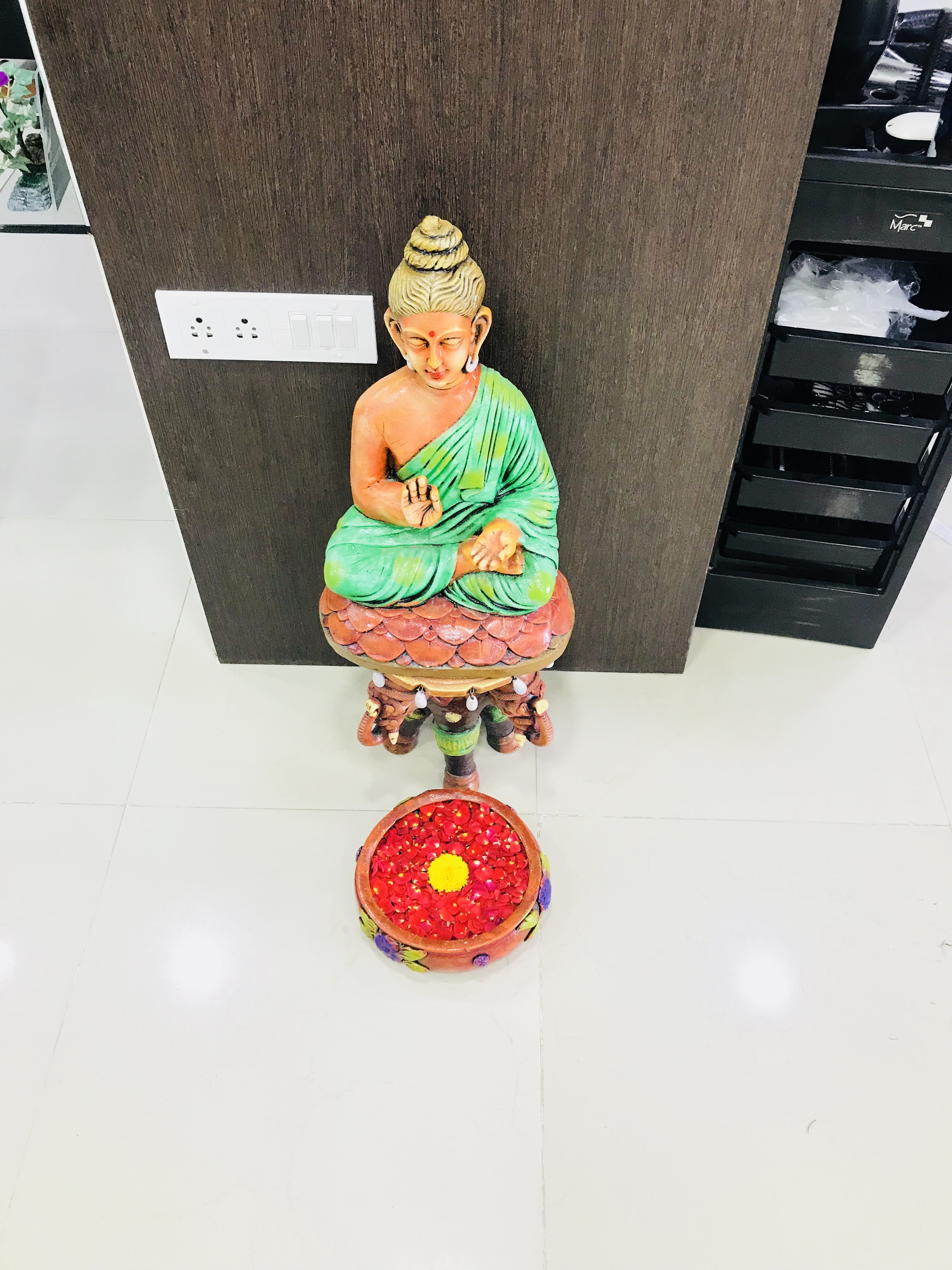 Green Trends in Srirangam, Bengaluru
