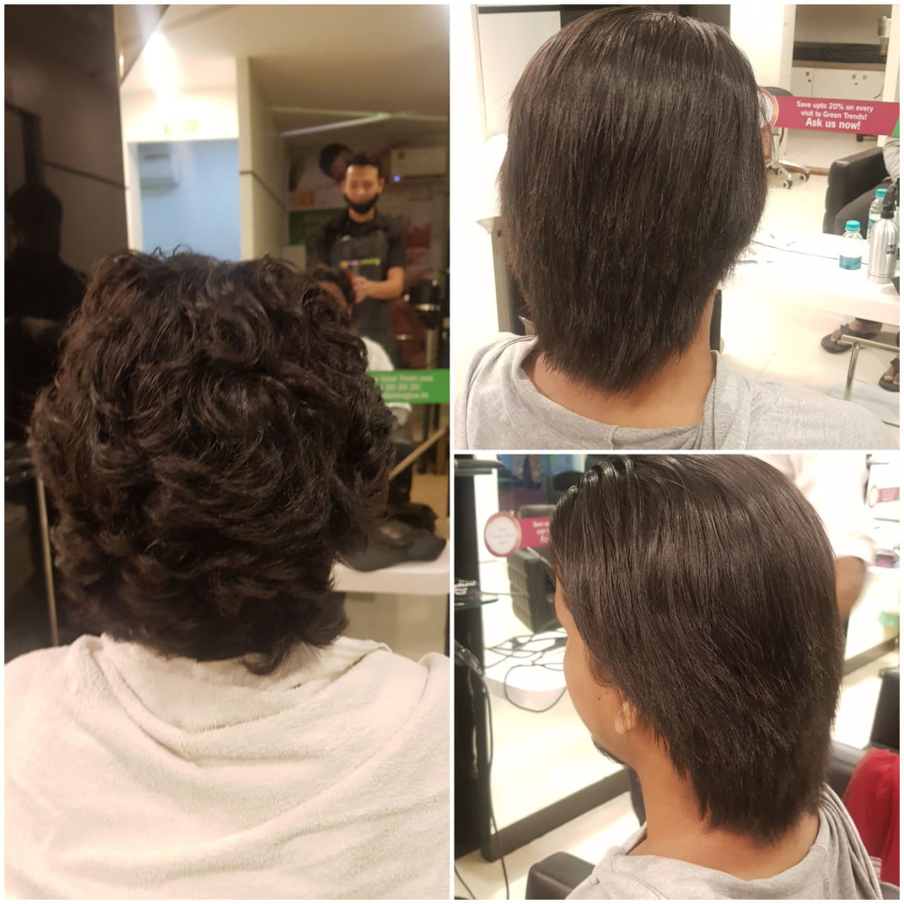 Green Trends in Sanjeeva Reddy Nagar, Hyderabad