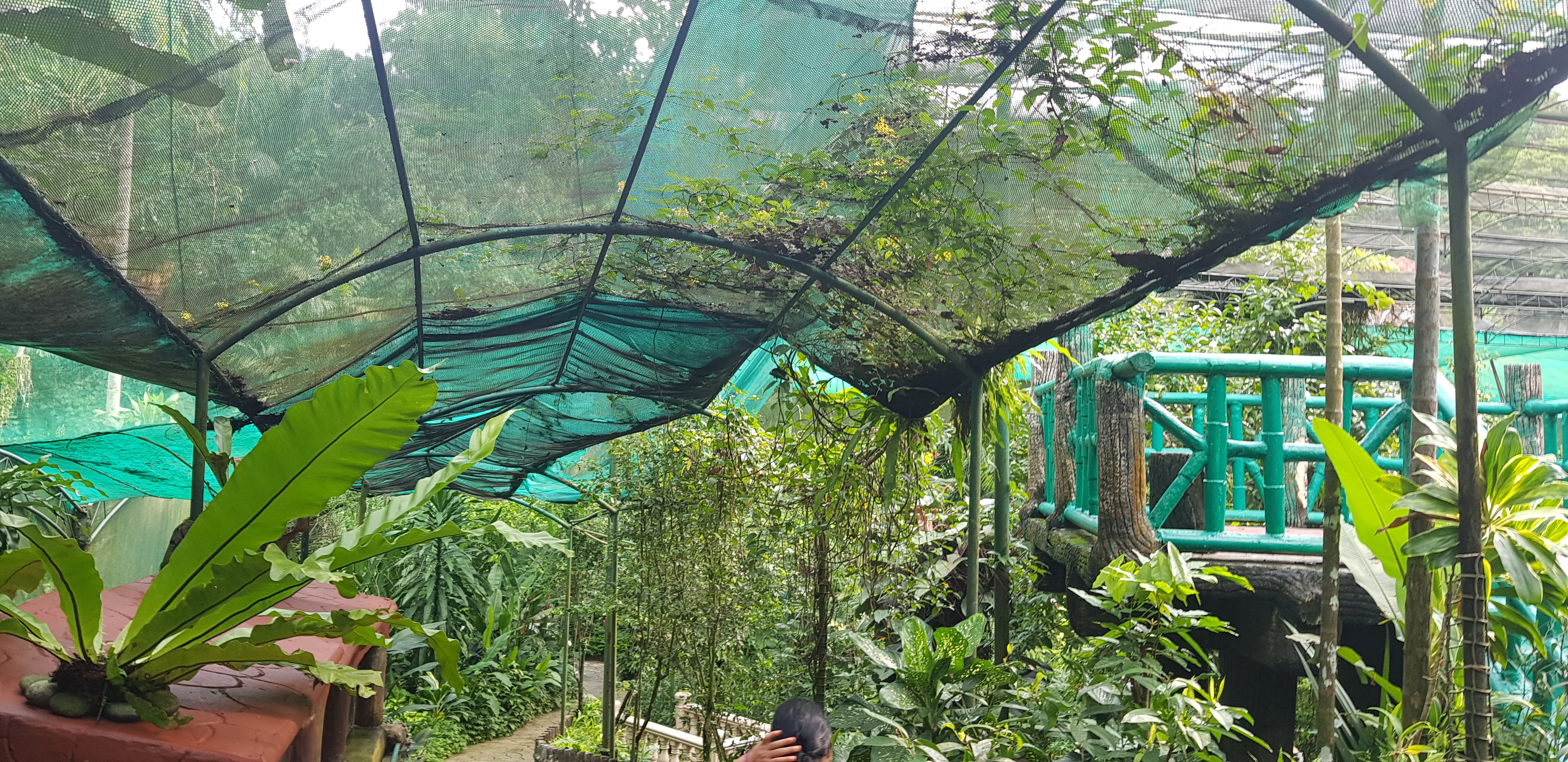 Green Trends in Rainbow Drive, Bengaluru