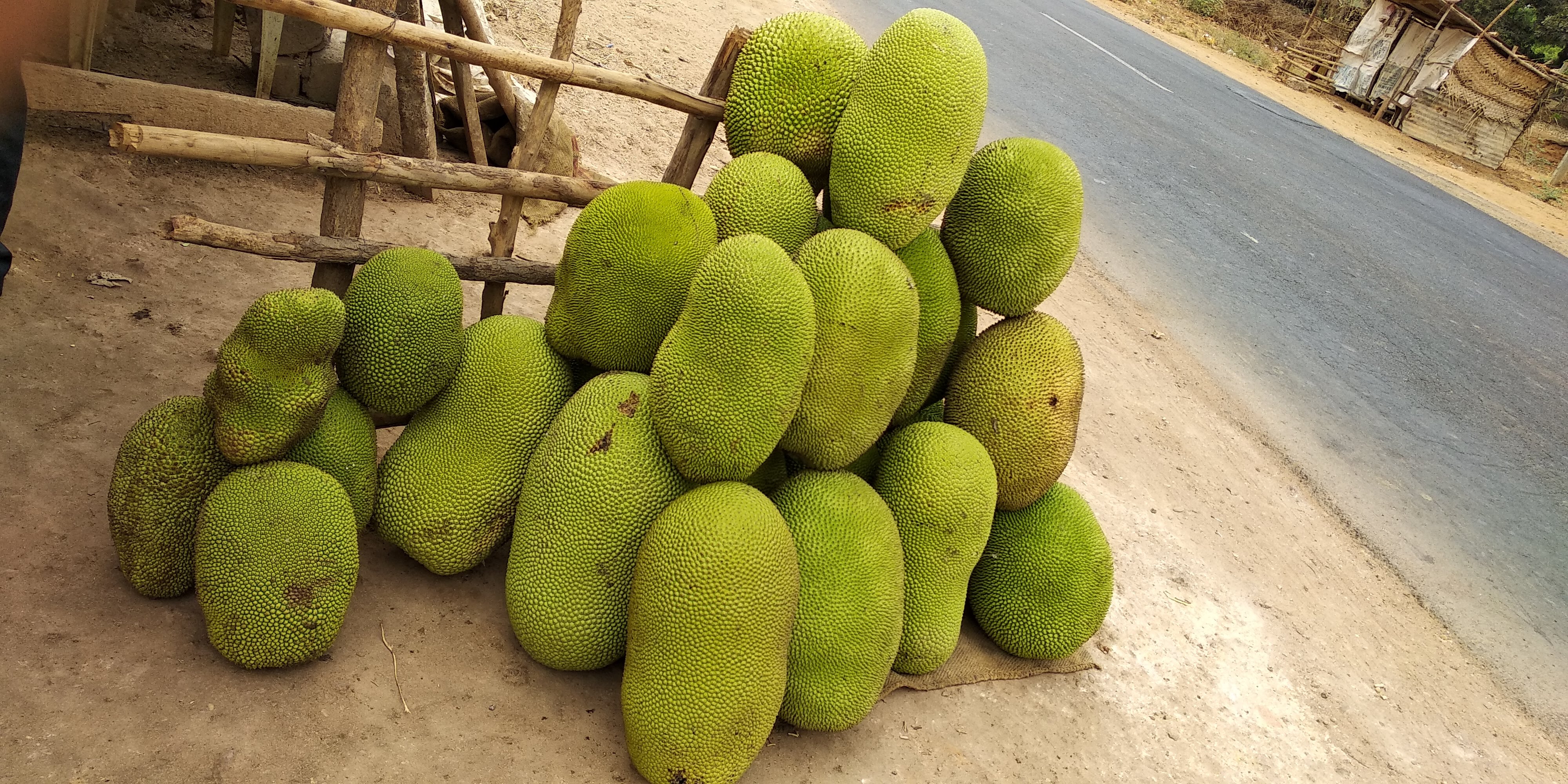 Green Trends in Vadakuthu, Neyveli