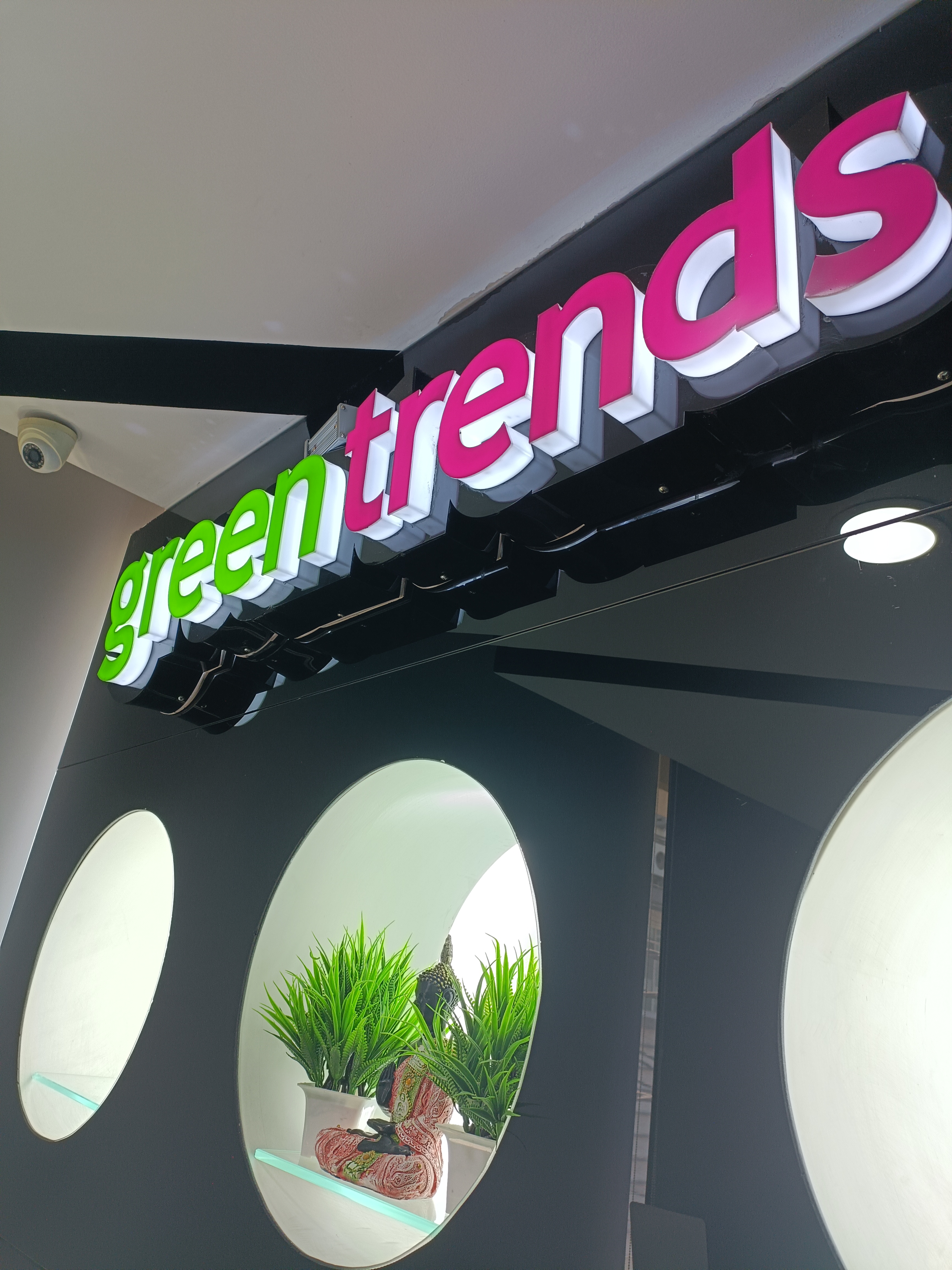 Green Trends in Widia Colony, Hyderabad