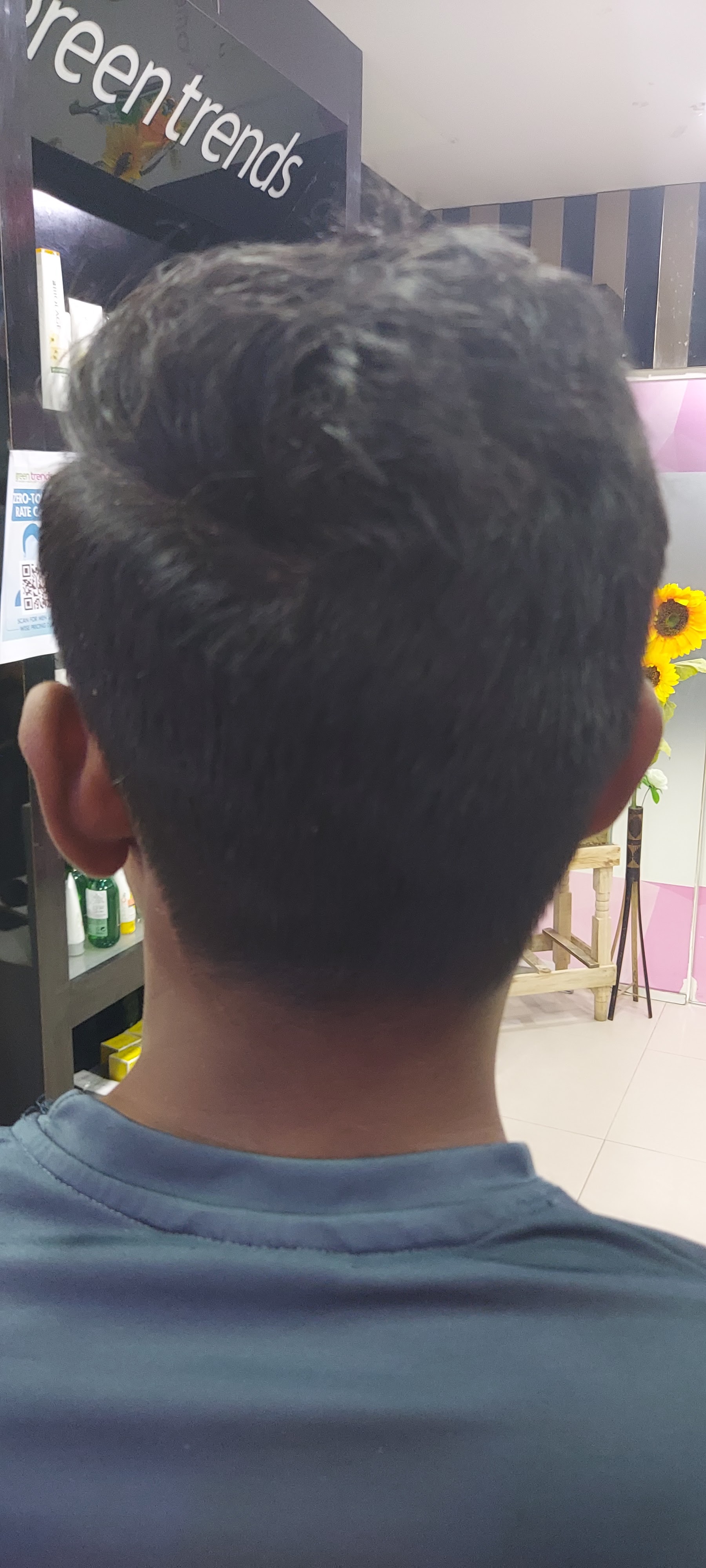 Green Trends in Chromepet, Chennai