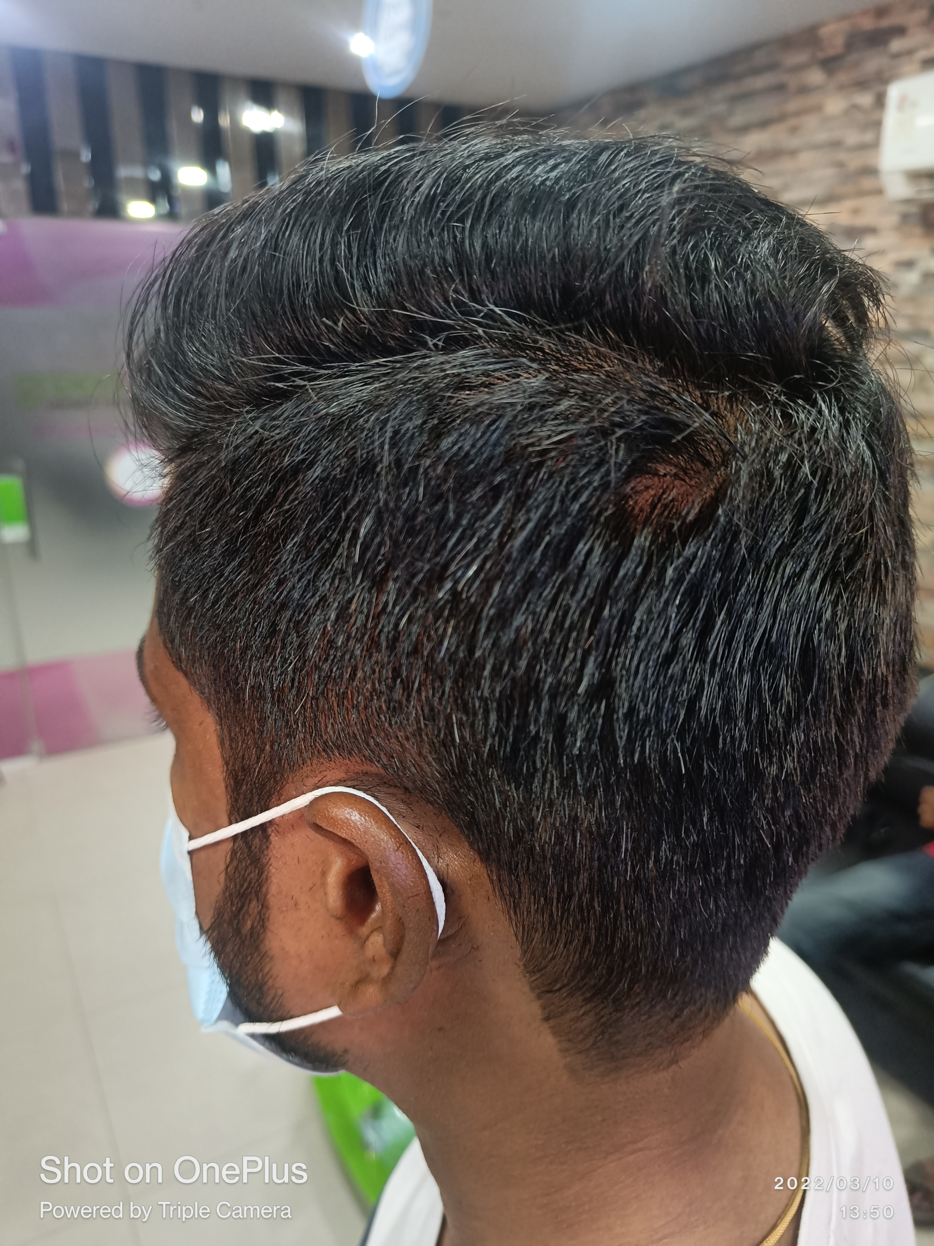 Green Trends in Chromepet, Chennai