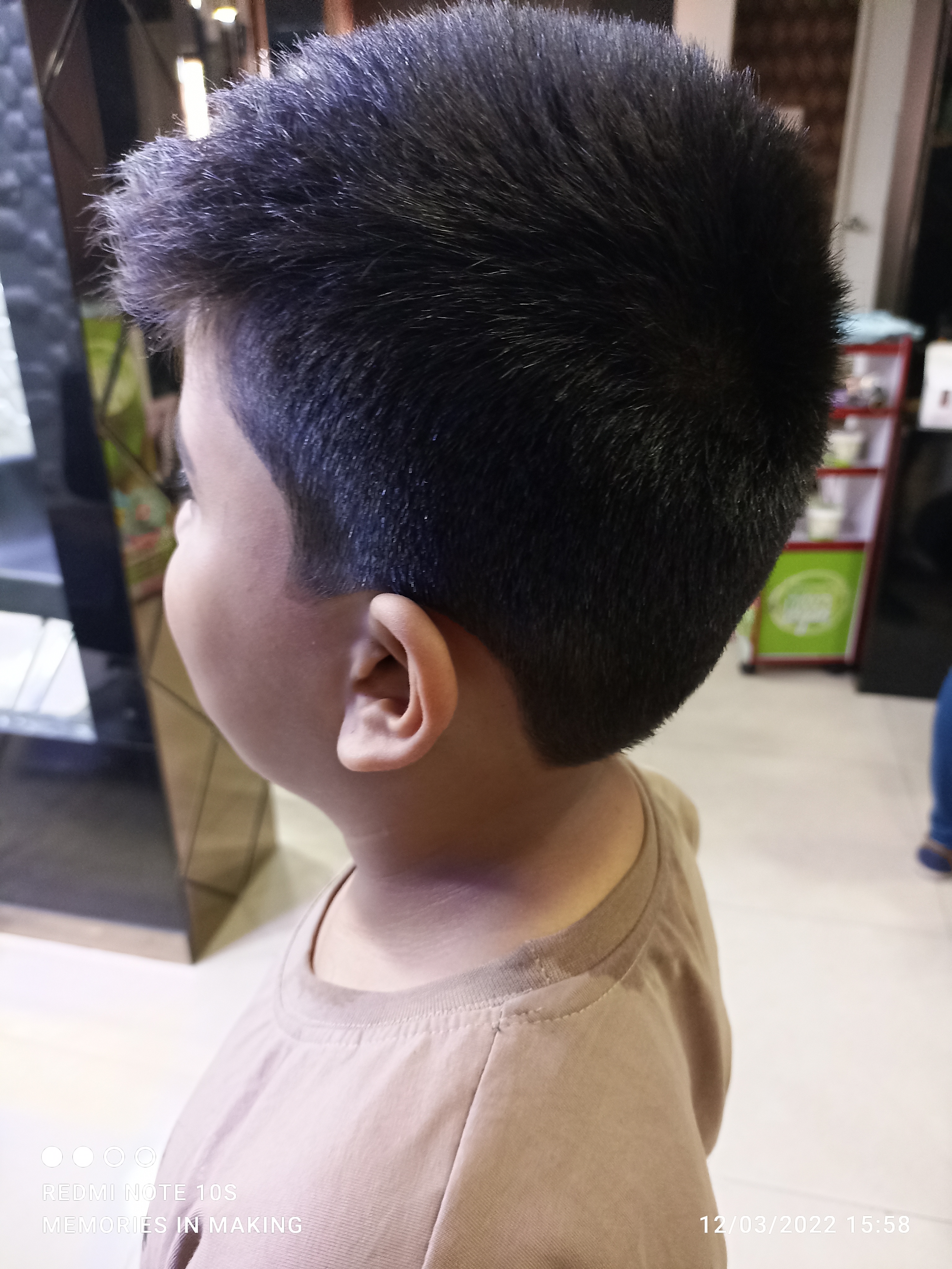 Green Trends in Chromepet, Chennai