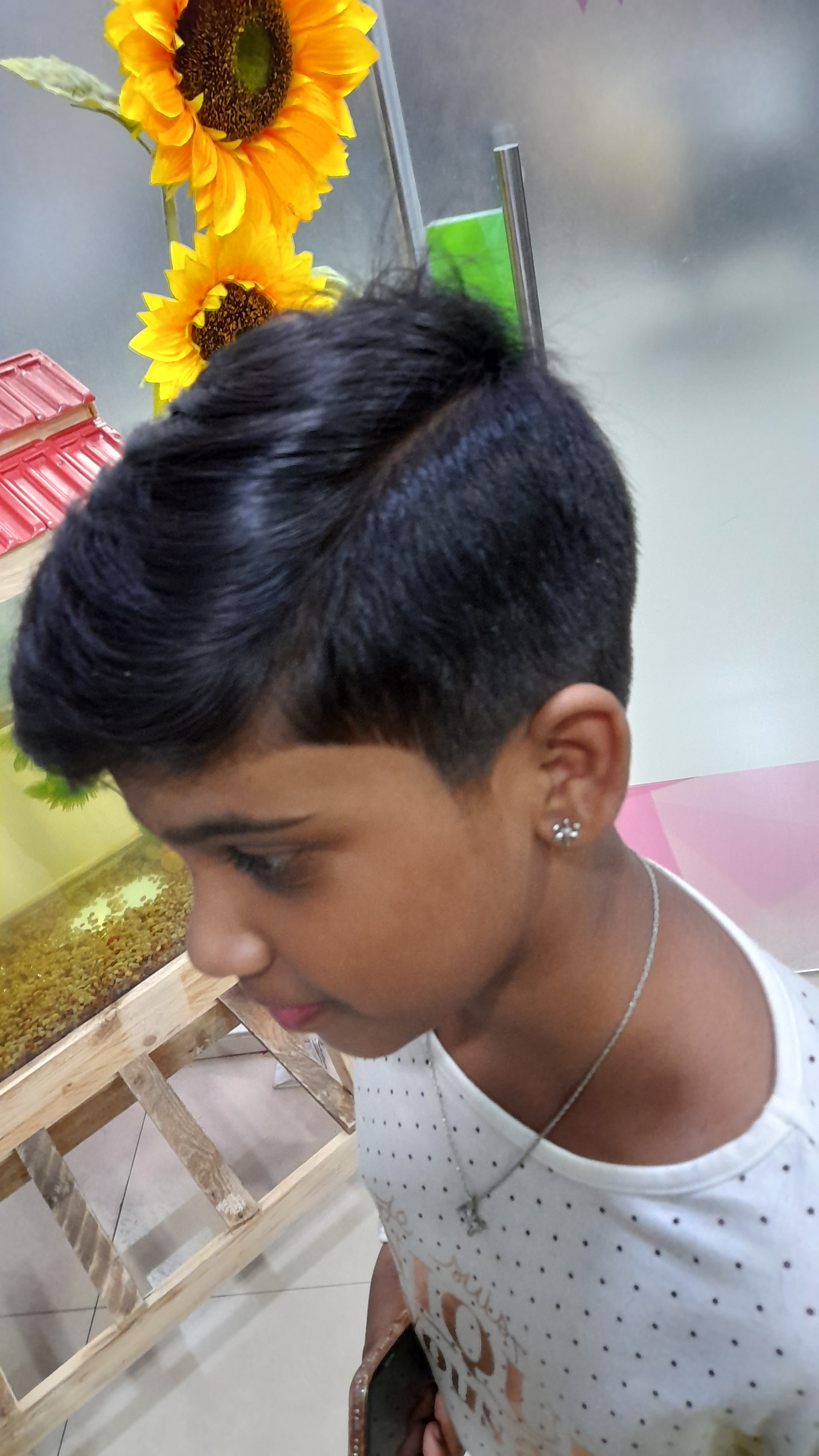 Green Trends in Chromepet, Chennai