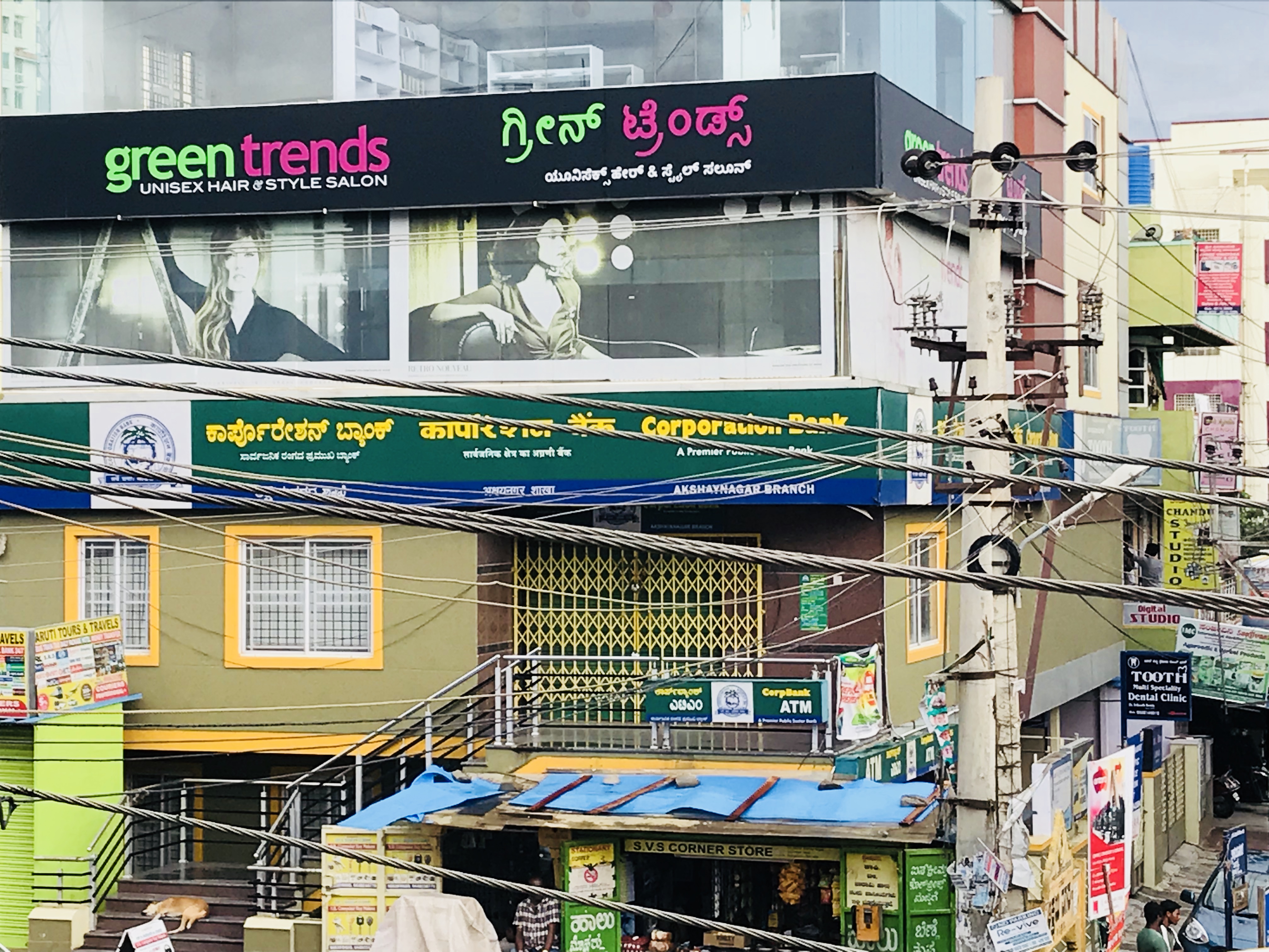 Green Trends in Akshayanagar, Bengaluru