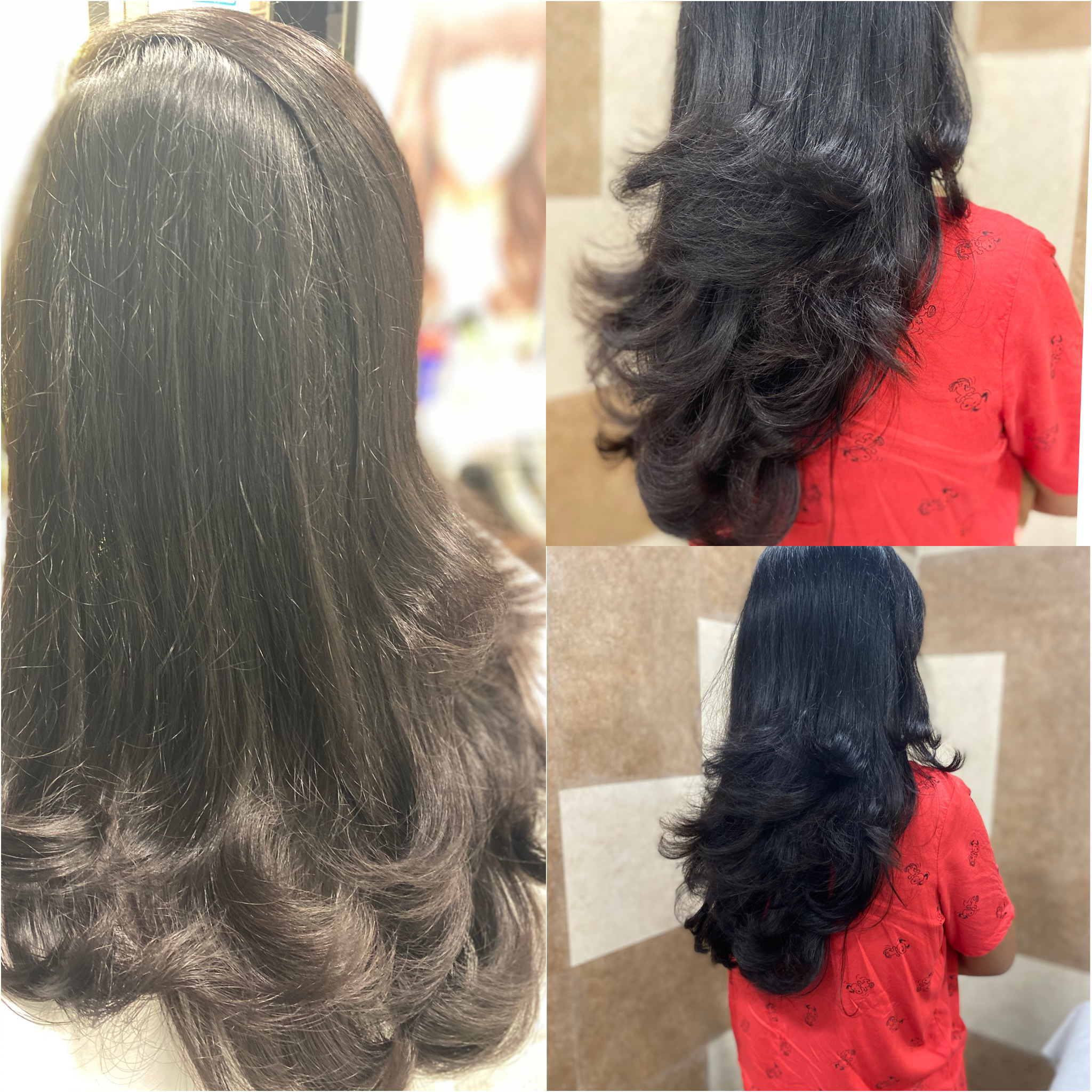 Green Trends in Thiruvanmiyur, Chennai