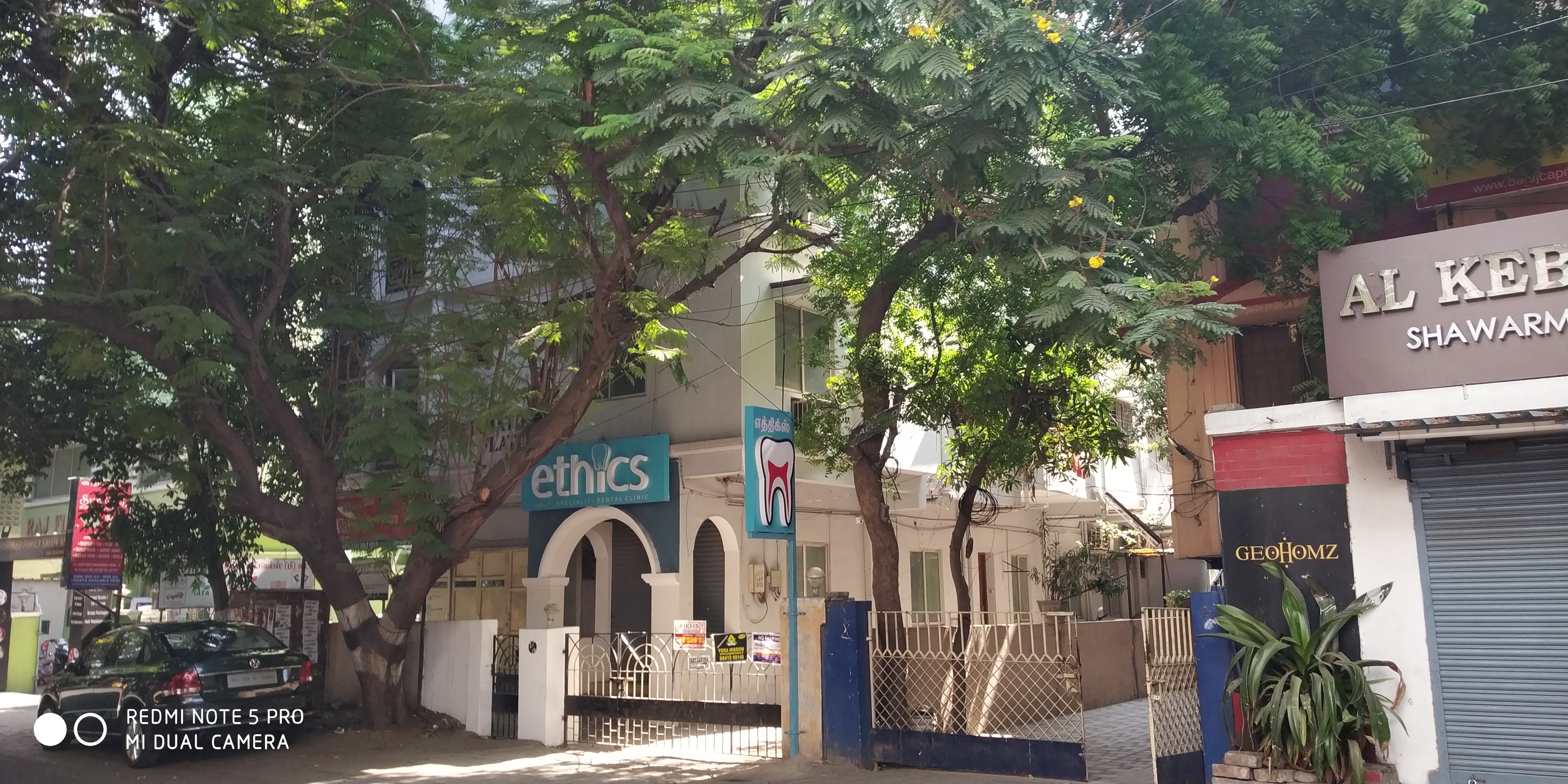 Green Trends in Nungambakkam, Chennai