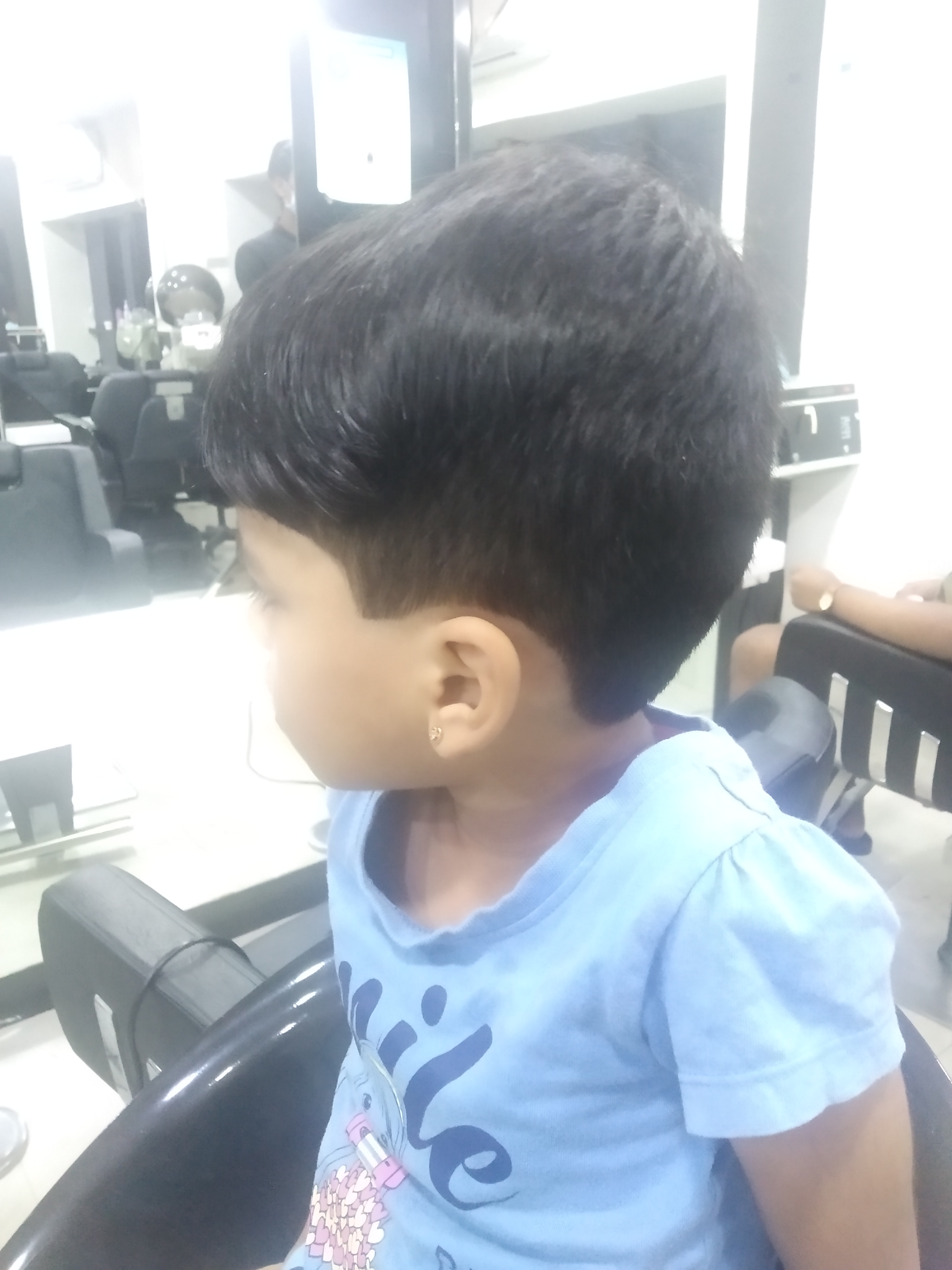 Green Trends in Nungambakkam, Chennai