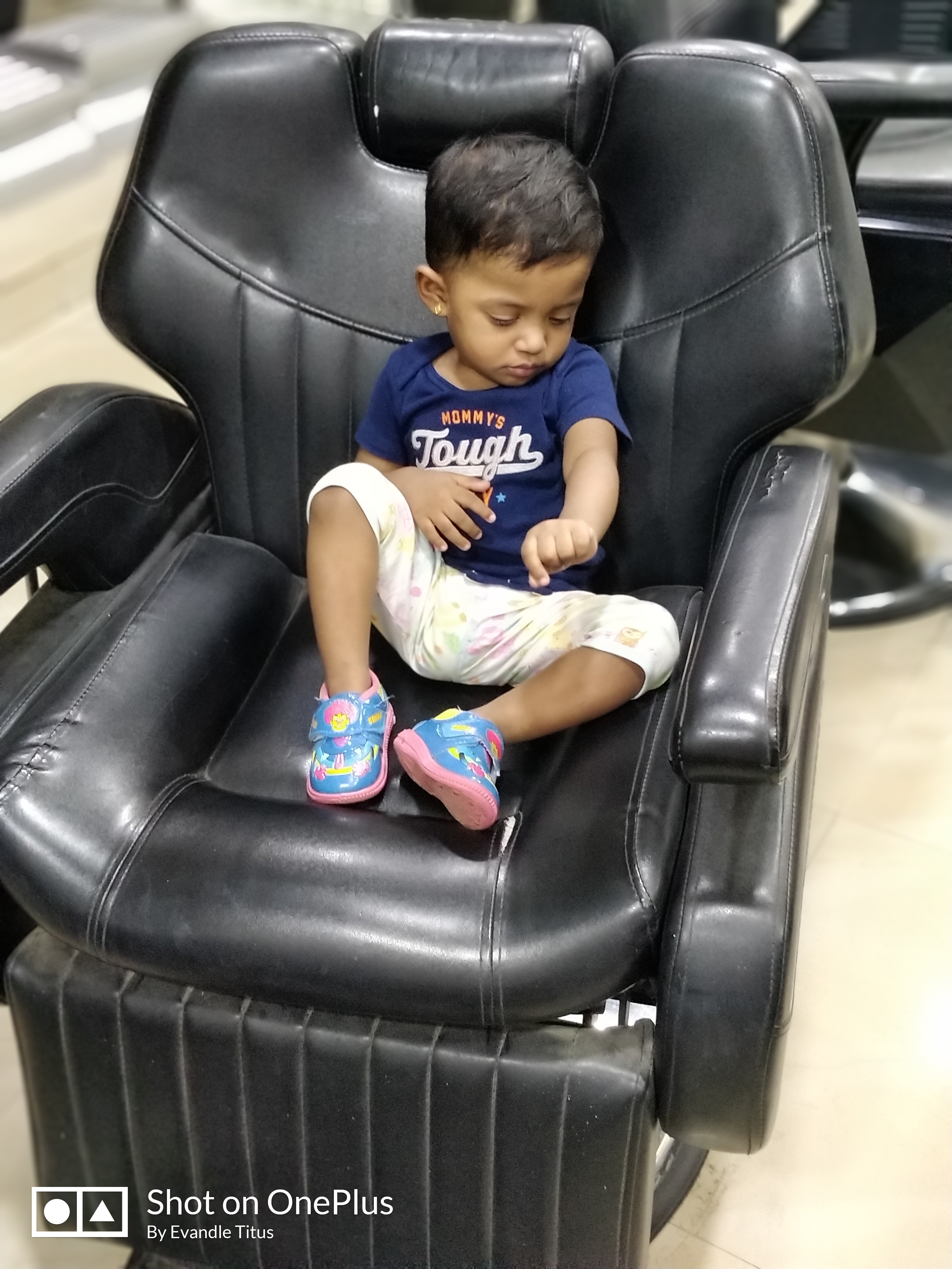 Green Trends in Pammal, Chennai