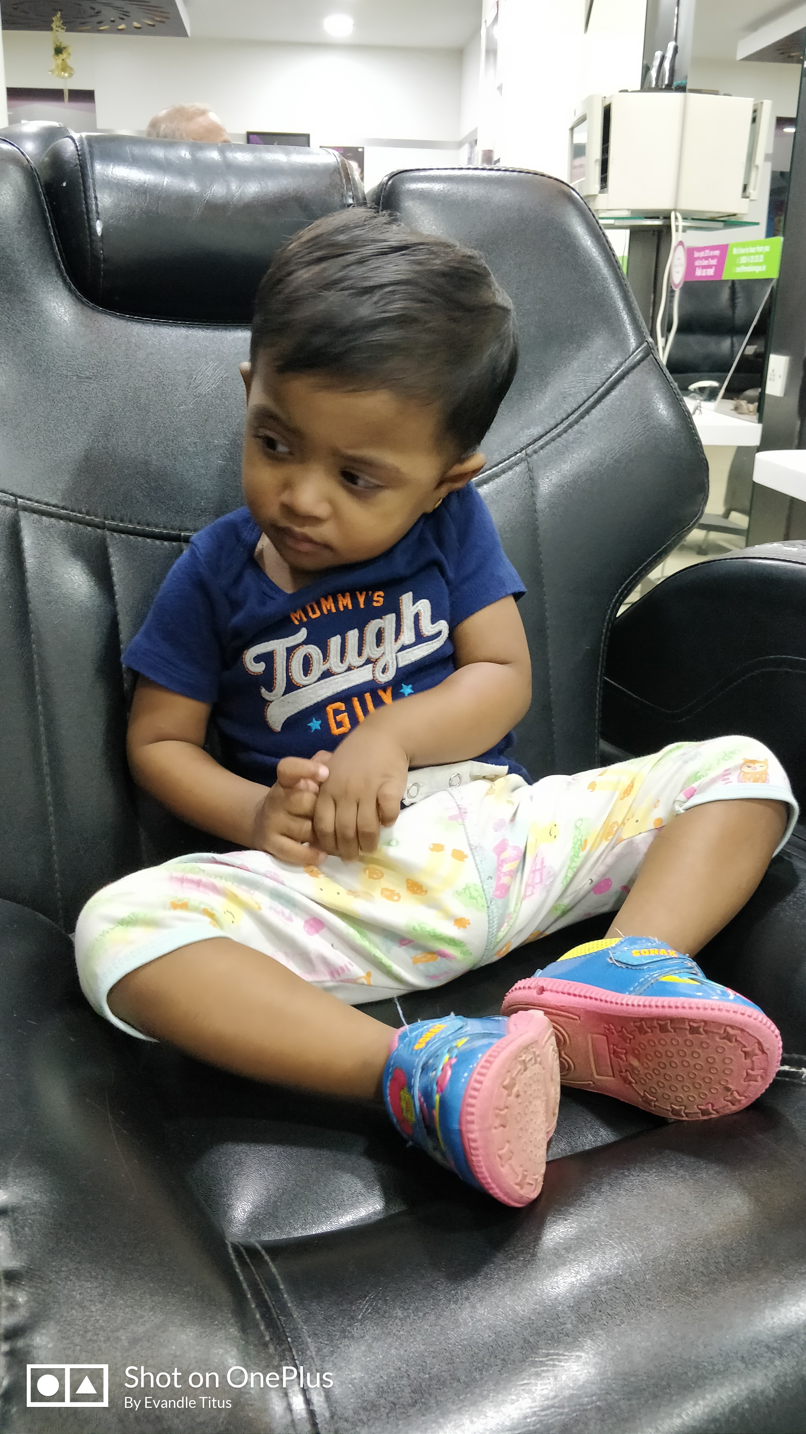 Green Trends in Pammal, Chennai