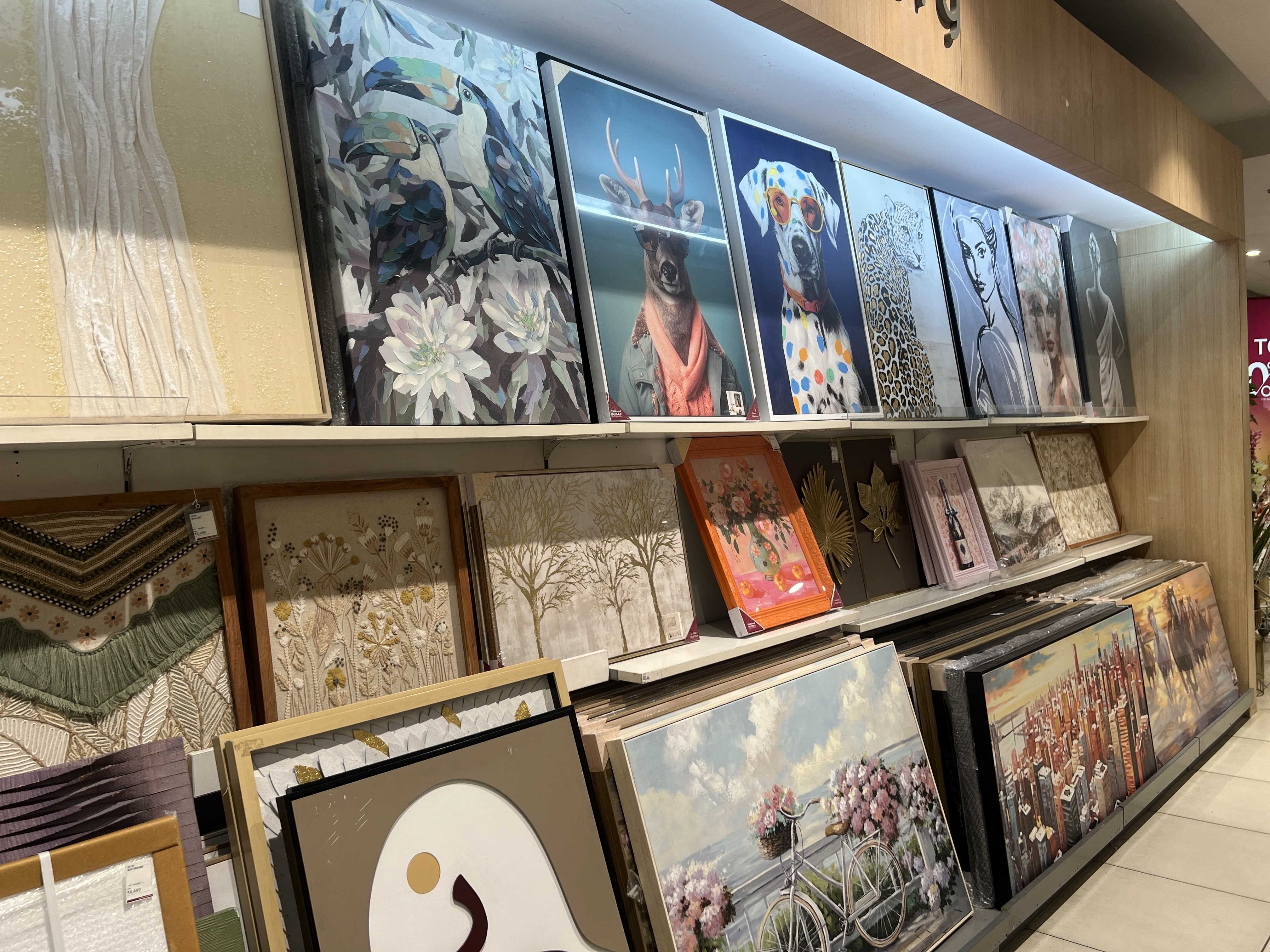 Nilkamal Homes Store Photos & Videos in Industrial Area Phase 1, Chandigarh