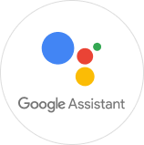 Google Assistant